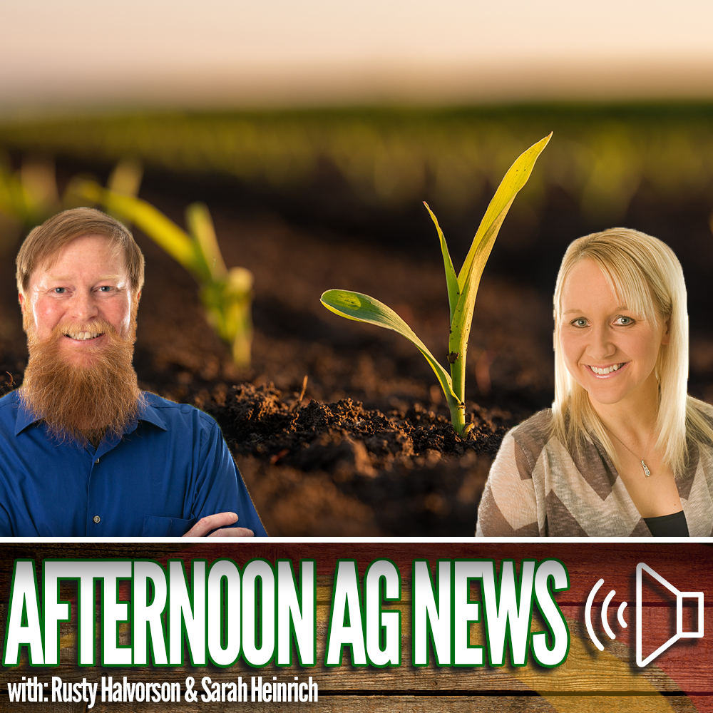 Afternoon Ag News, June 25, 2026:  A look at crop progress across the nation episode artwork