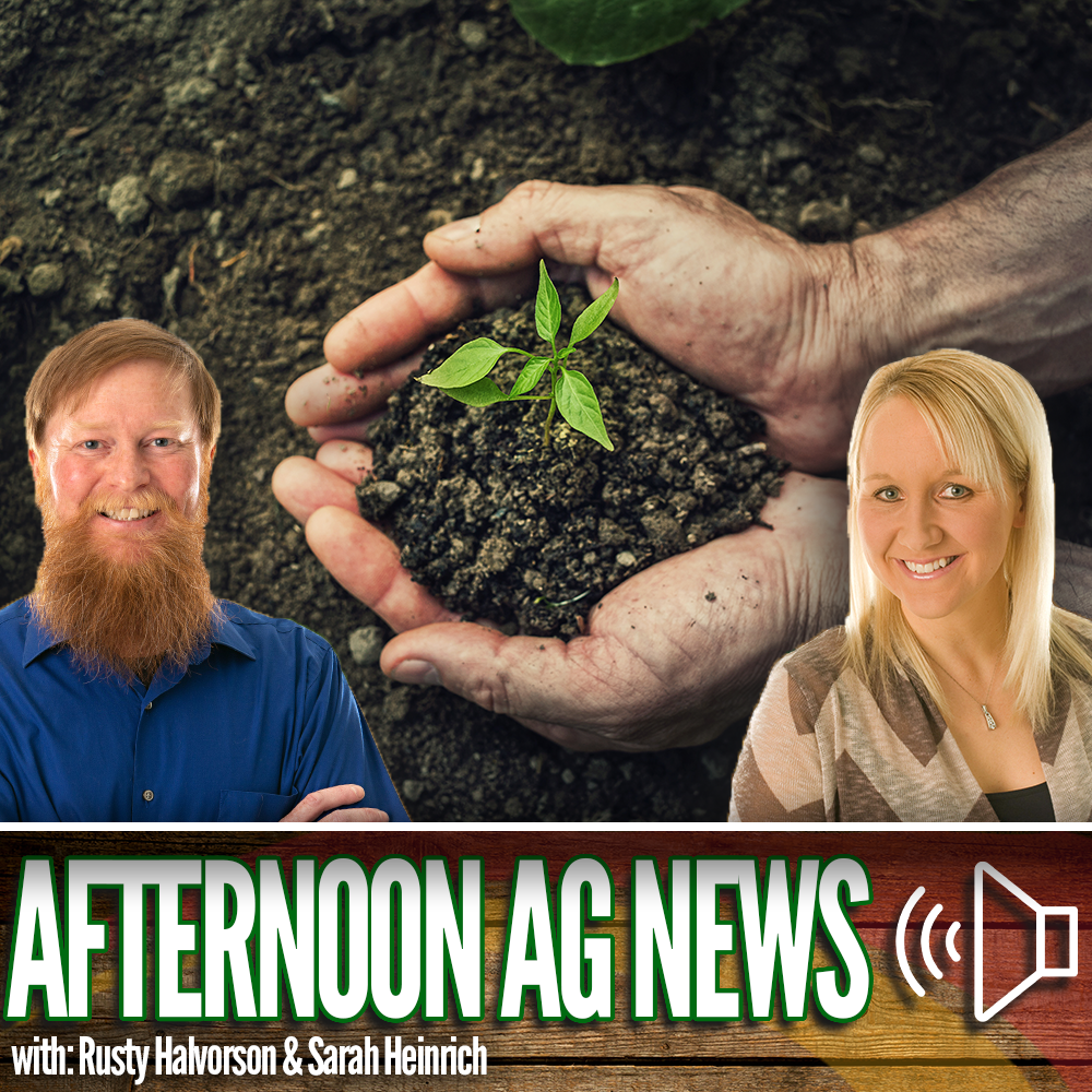Afternoon Ag News, August 3, 2026: One intern spends her summer learning about NDSU Extension episode artwork