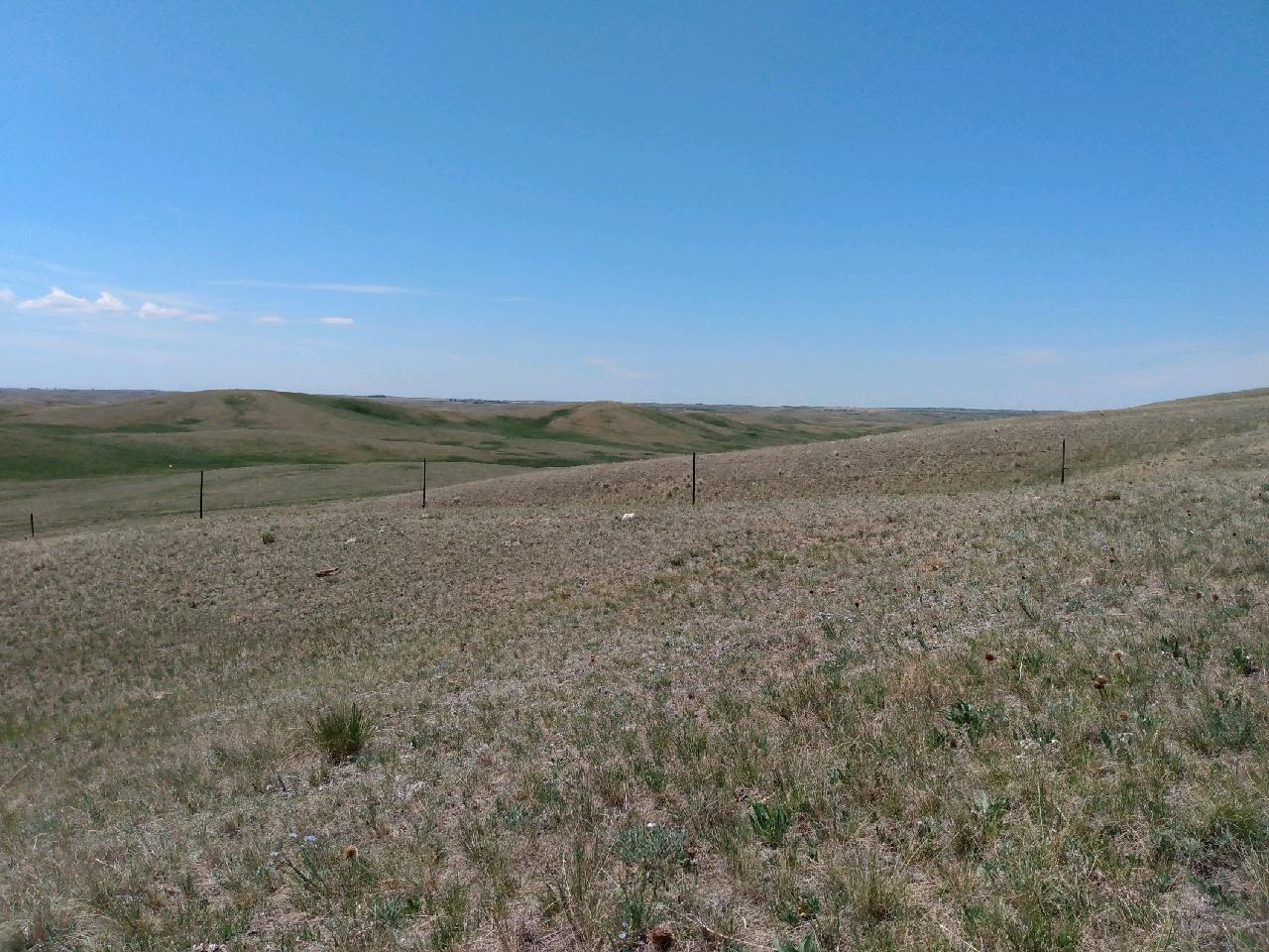 Morning Ag News, March 29, 2022: Drought concerns increase for areas of  South Dakota