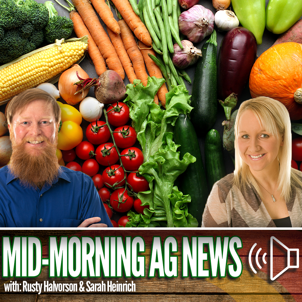 Mid-morning Ag News, October 25, 2023: USDA provides billions of dollars to bolster international trade and food aid
