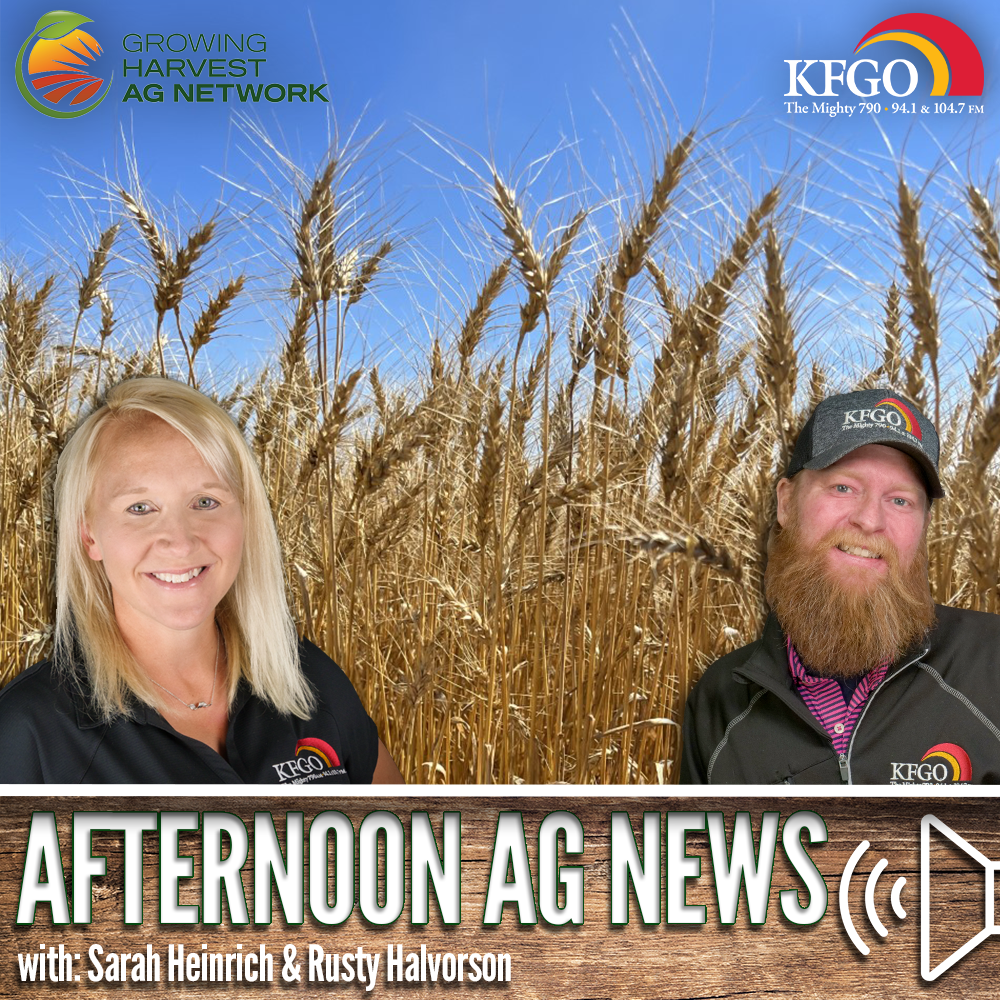 Morning Ag News, May 26, 2023: Forecasting the nation's wheat crop