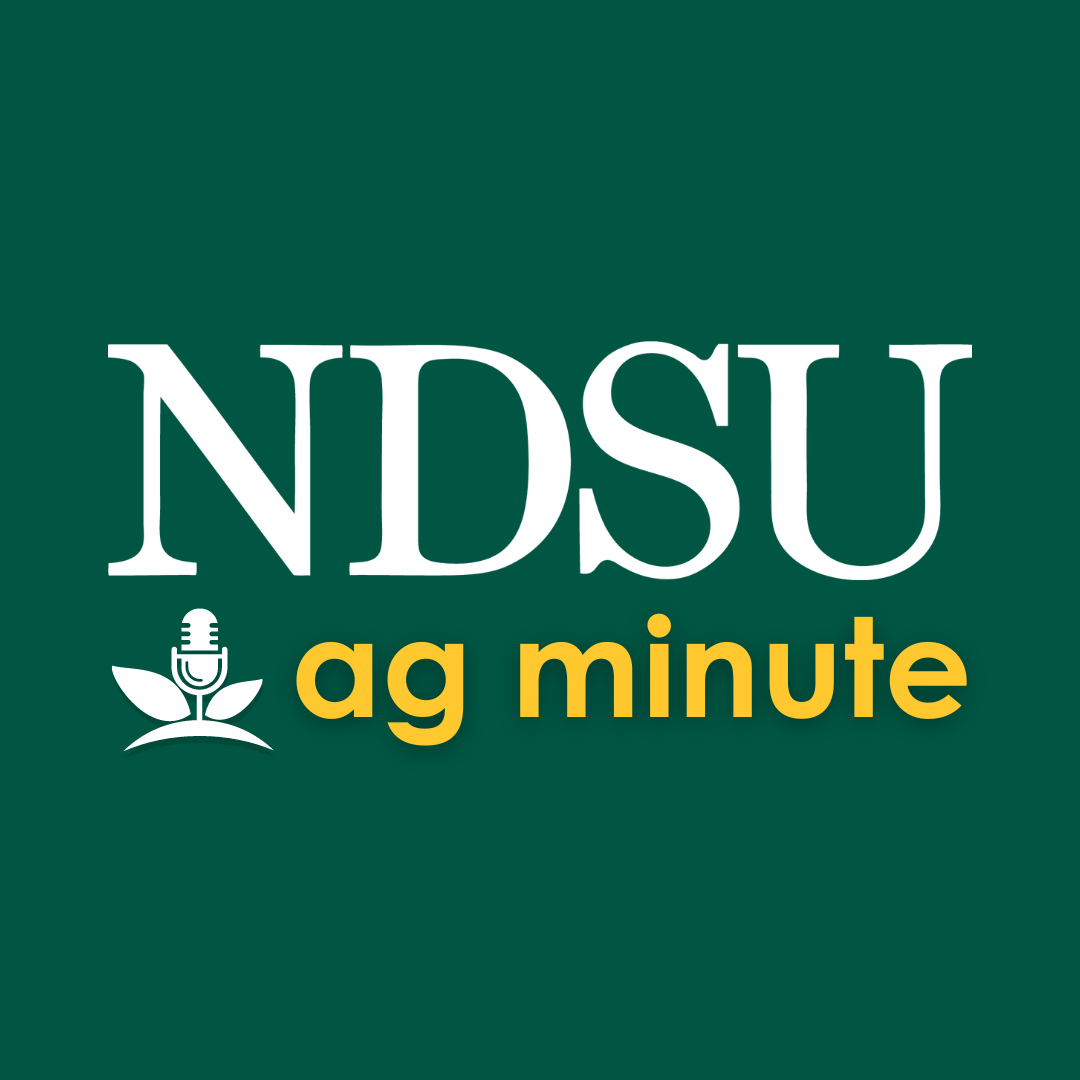 NDSU Ag Minute: Markets react to July WASDE Report episode artwork