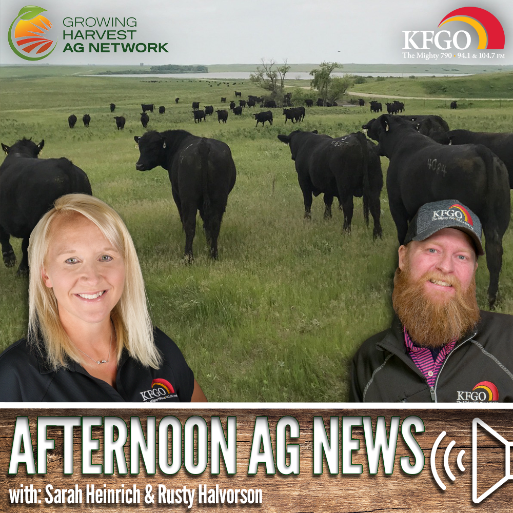Afternoon Ag News, September 22, 2026: Where will steer prices be in 2027?