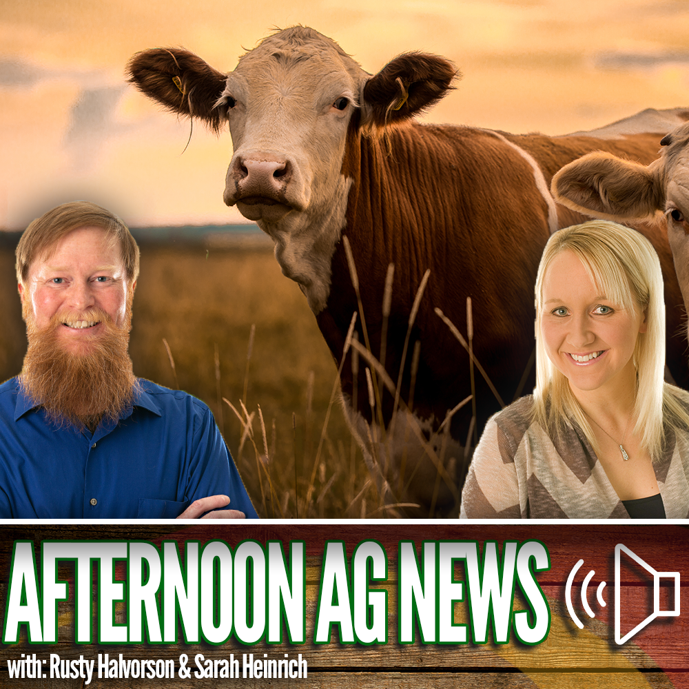 Afternoon Ag News, April 8, 2026: Winners and loser in the livestock industry episode artwork