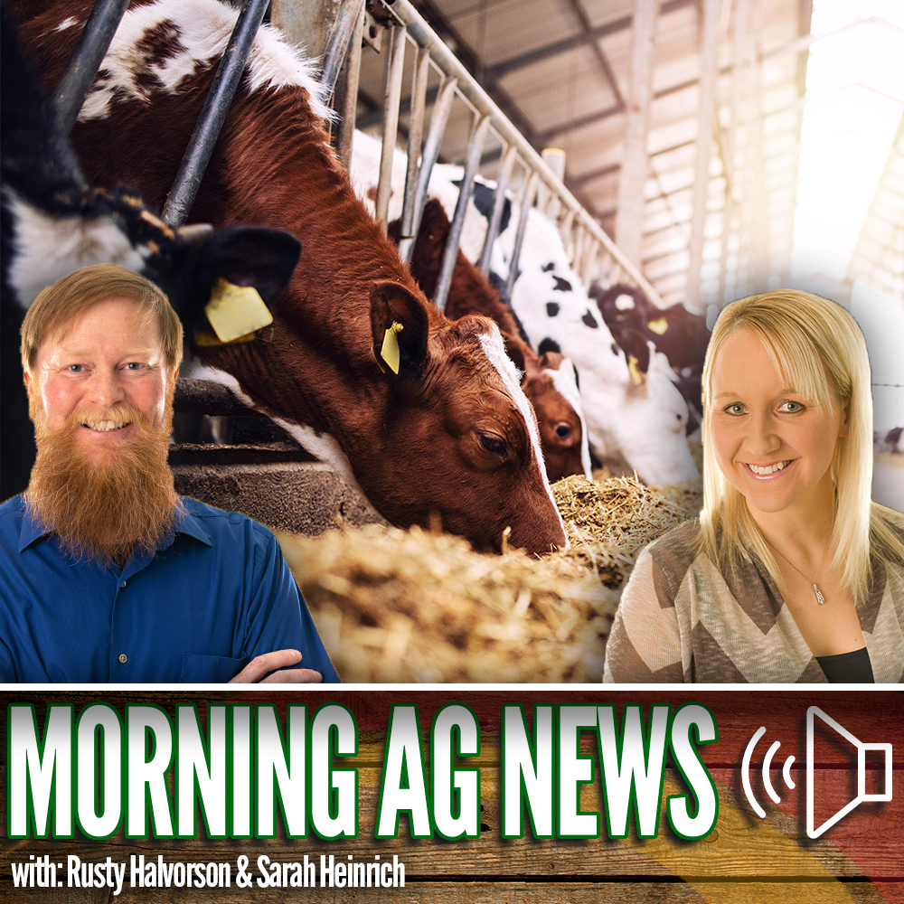 Morning Ag News, April 20, 2026: Has beef-on-dairy gone too far? episode artwork