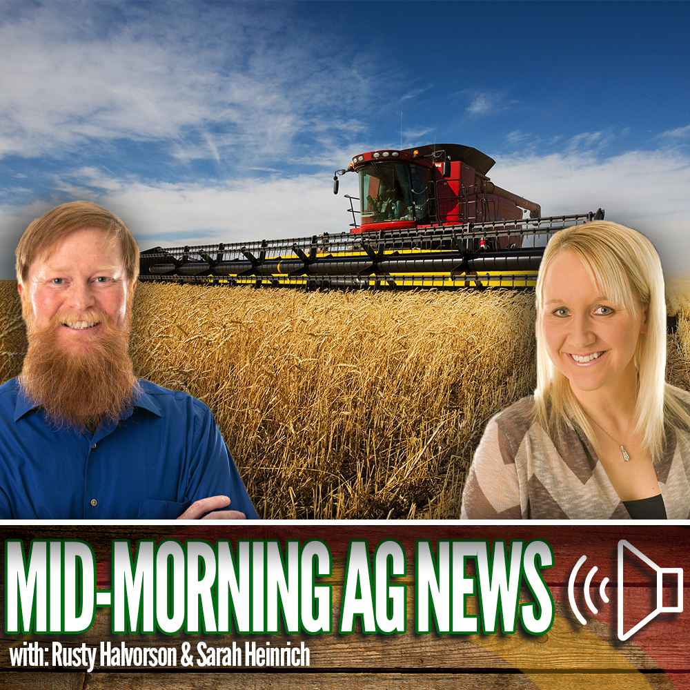 Mid-morning Ag News, March 19, 2025: Wheat midge numbers in North Dakota
