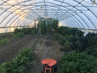 Minnesota school's and ag producers celebrate Farm to School Month