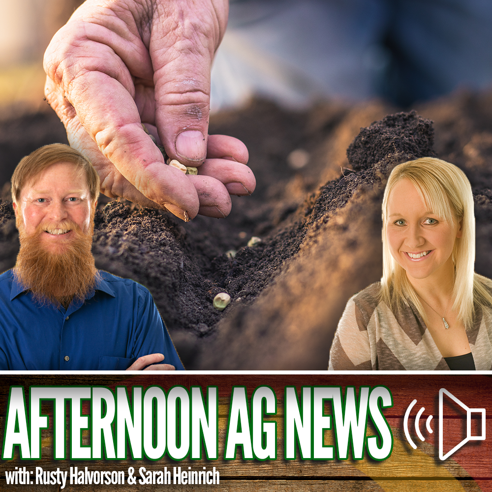 Afternoon Ag News, June 1, 2026: A look at this week's forecast episode artwork