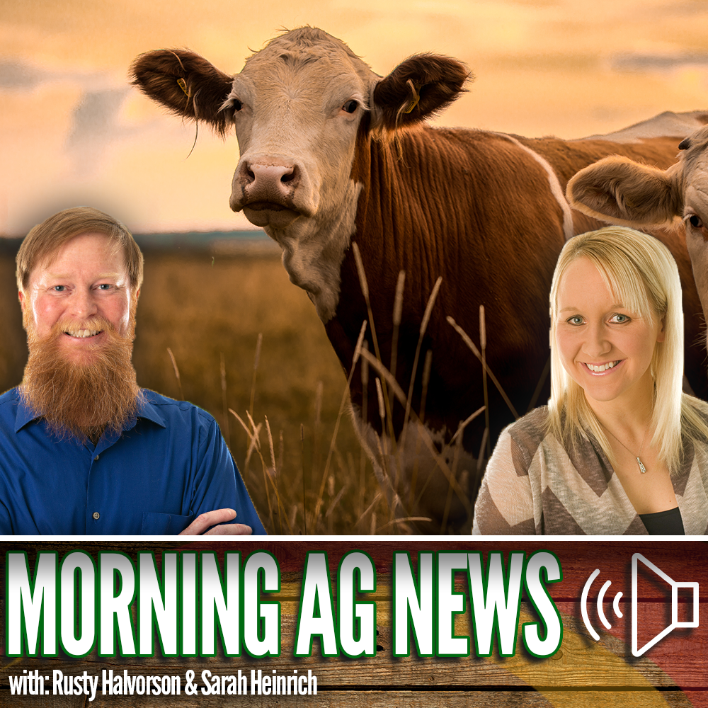 Morning Ag News, April 25, 2024: Finding value is beef variety meats
