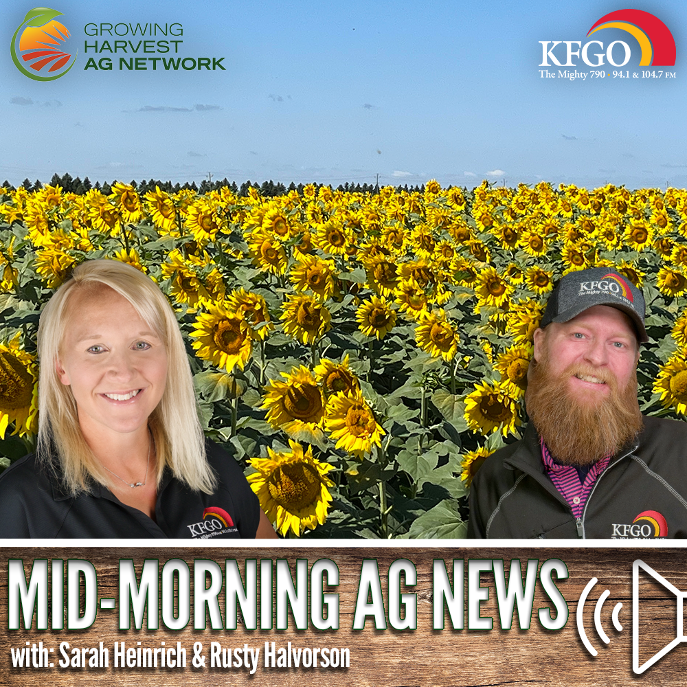 Mid-morning Ag News, November 9, 2023: Sunflower harvest continues