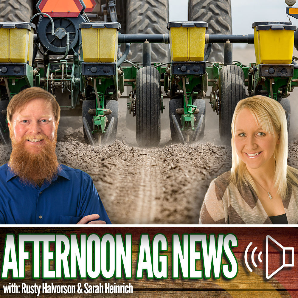 Afternoon Ag News, October 31, 2023: U.S. farmers expected to produce a big corn crop