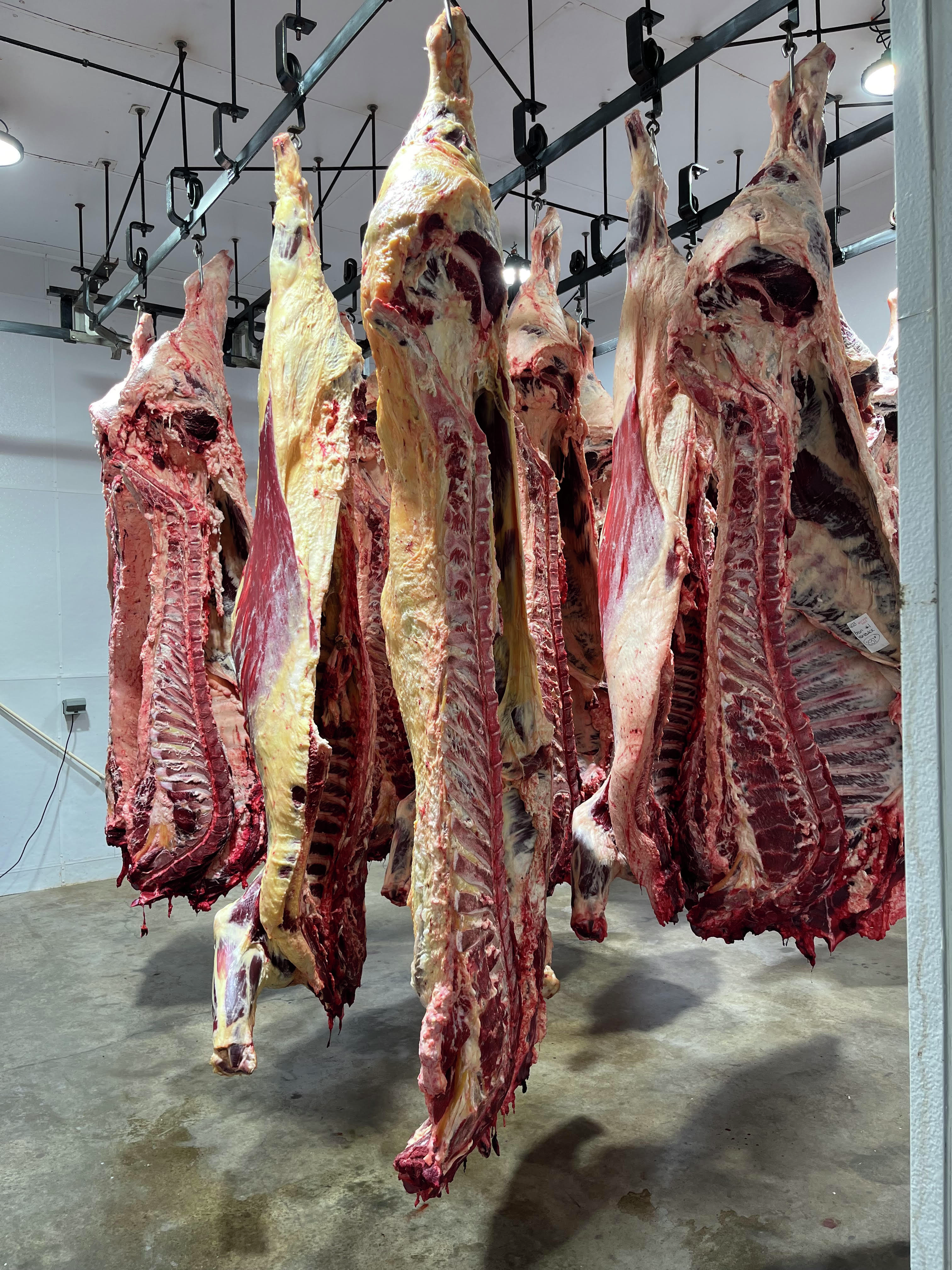 Mid-morning Ag News, July 17, 2026: SPUR program focuses on strengthening the meat processing industry episode artwork