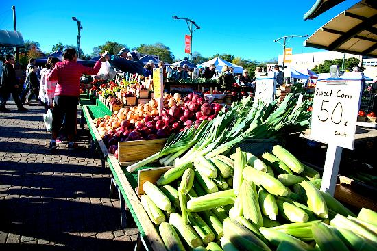 Holland Farmers Market Report 5-24-23
