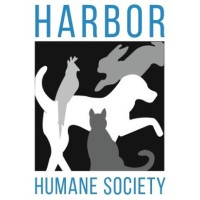 Harbor Humane Society update 5-27-26
