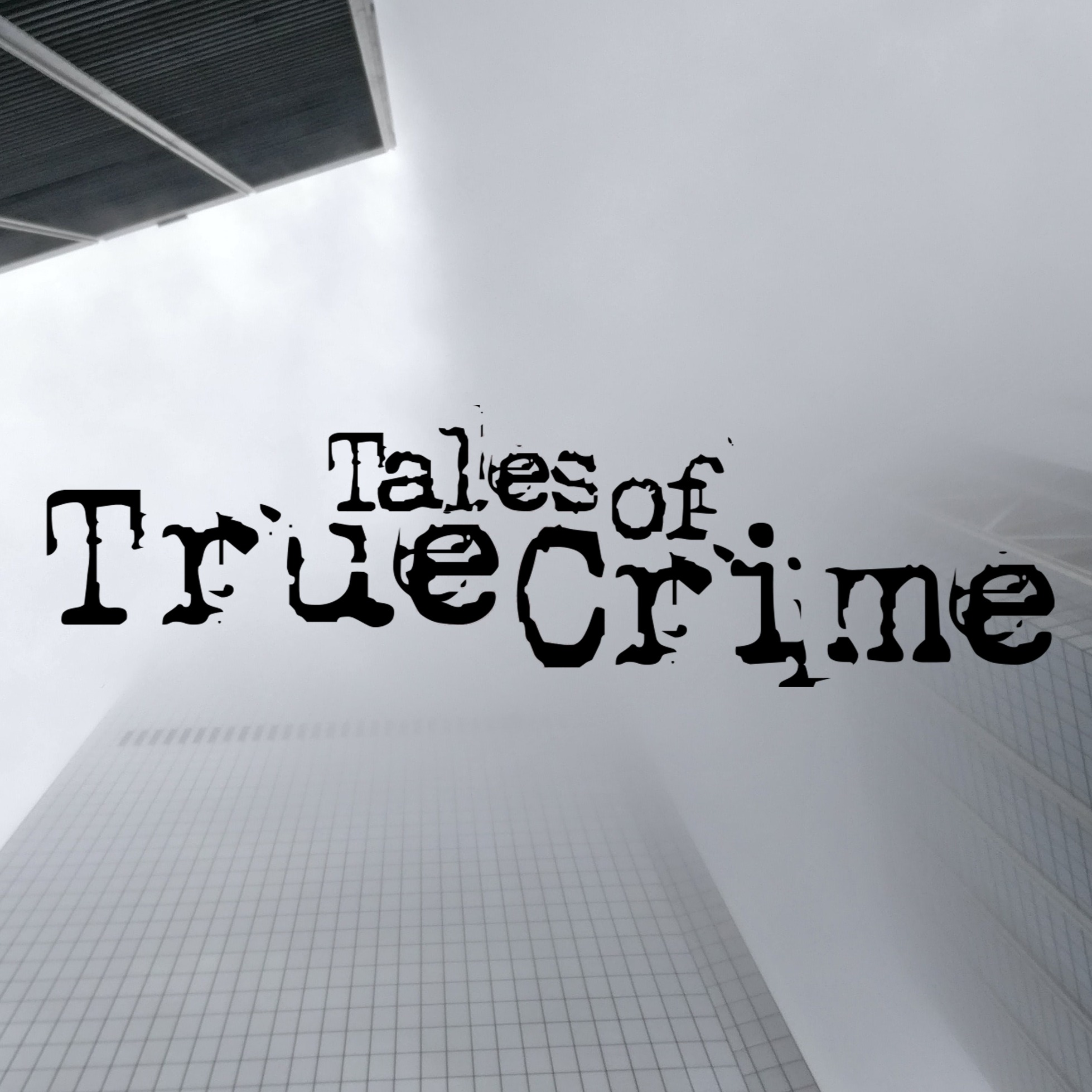 Did Terrorists Try to Assassinate George W. Bush on September 11th?