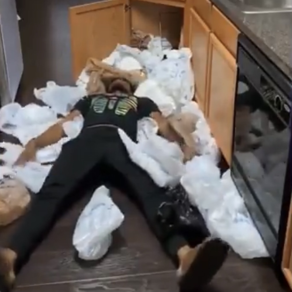 How can we ALL have so many PLASTIC BAGS!!? episode artwork