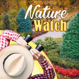 Nature Watch 4/18/26