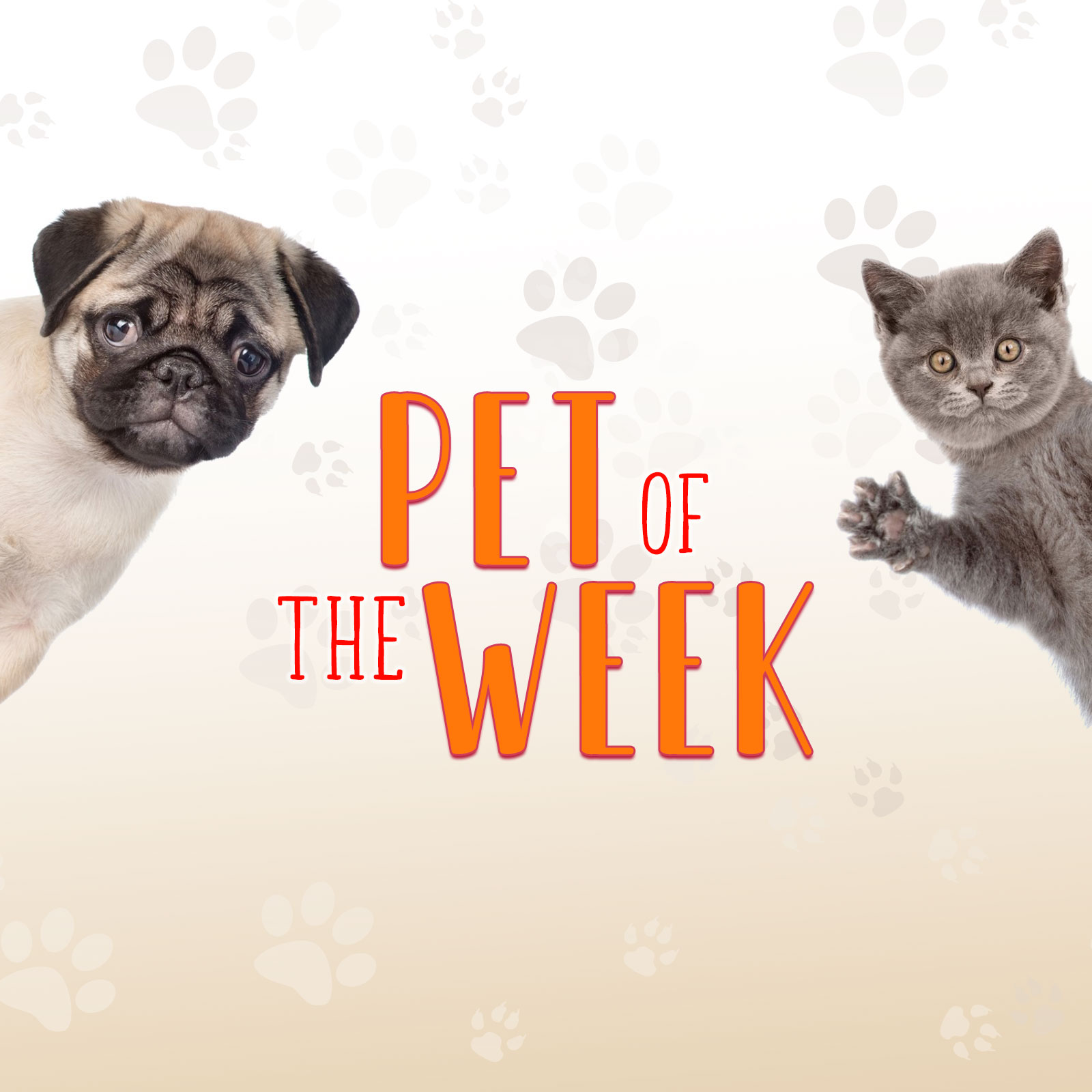 Pet of the Week 4-14