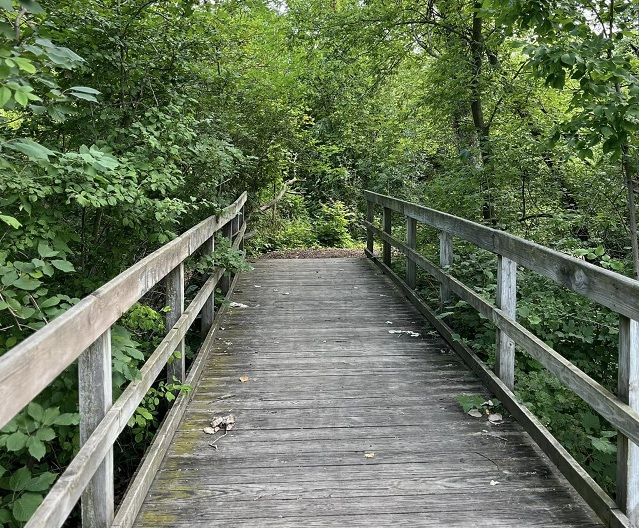 WHTC News Update for Aug. 21, 2026