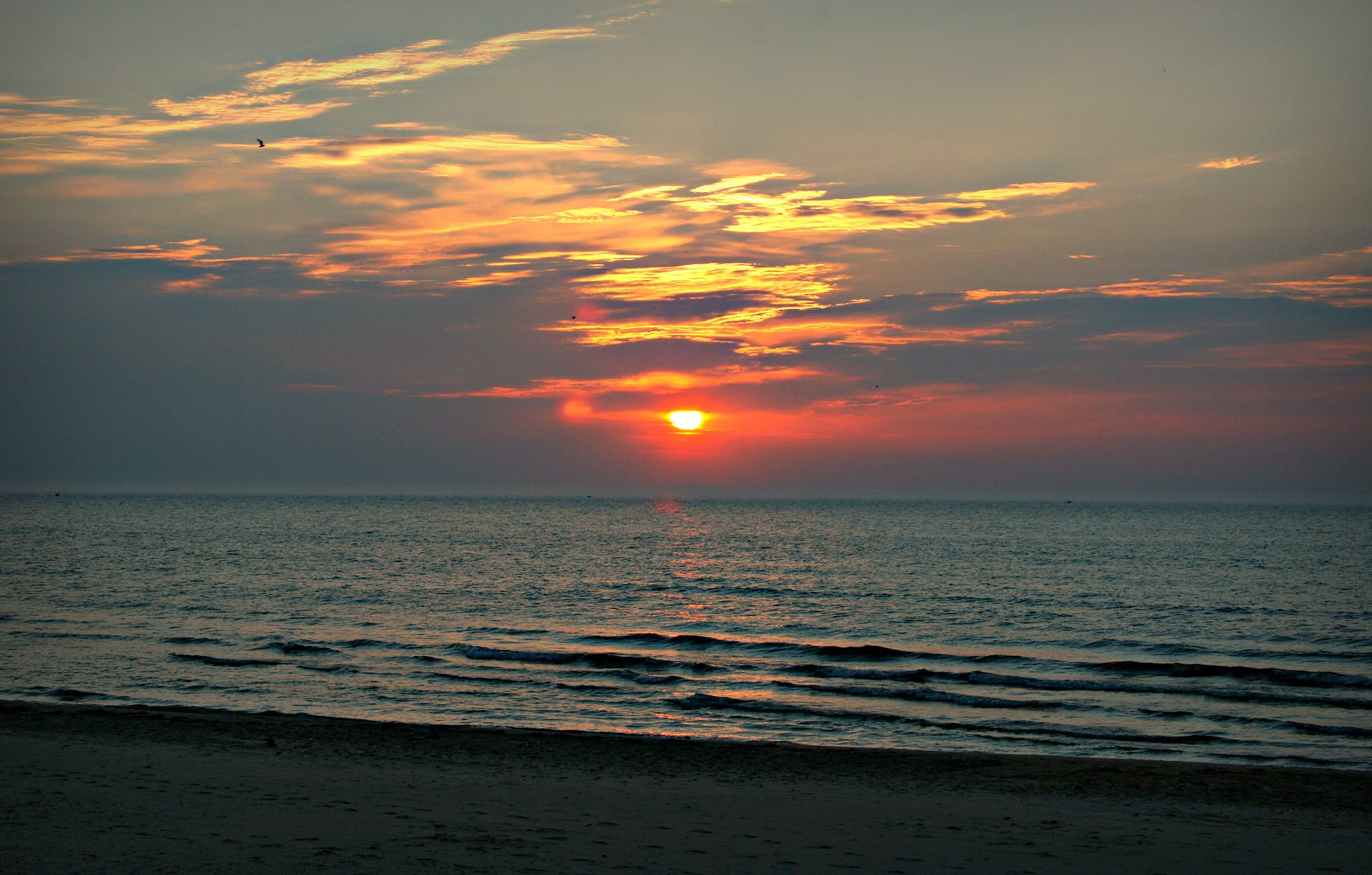 Sheboygan Area Weekend Whassup - 3-19-2021