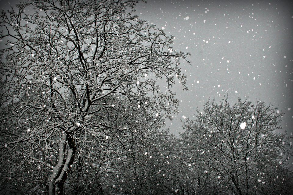 Sheboygan Area Weekend Whassup - 1-15-2021