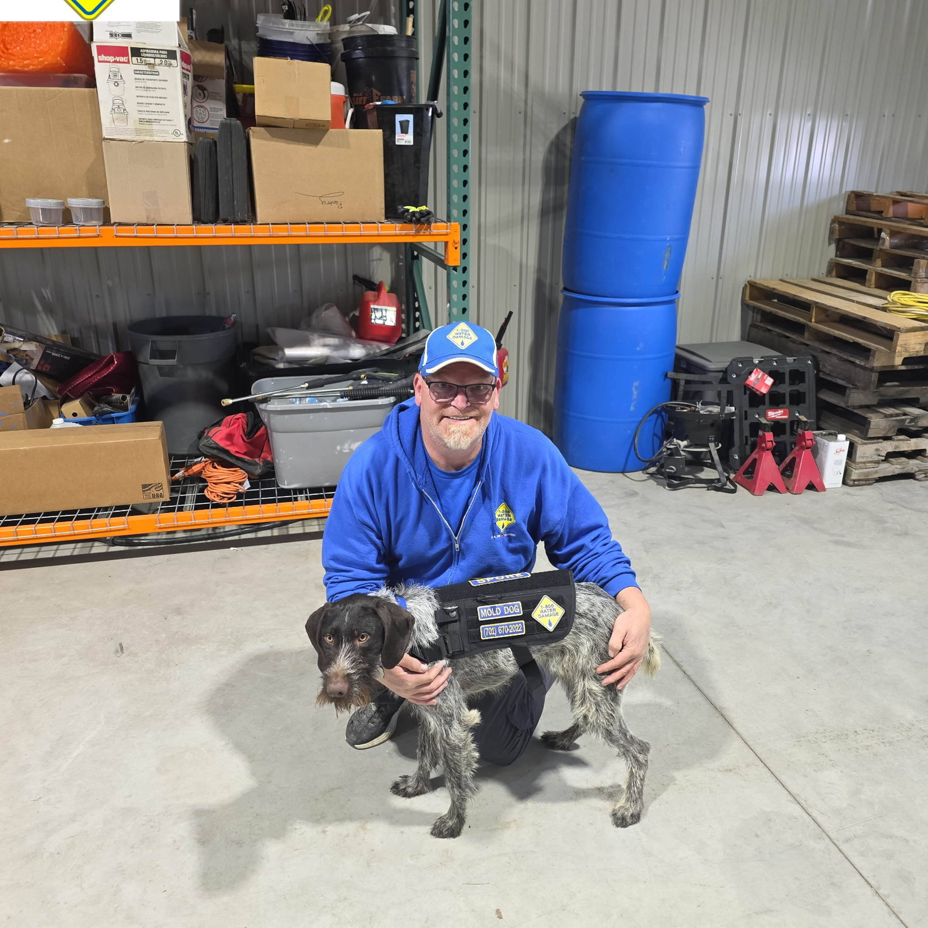 1-800-Water Damage of ND is offering you a discount for booking Spore the mold-detection dog