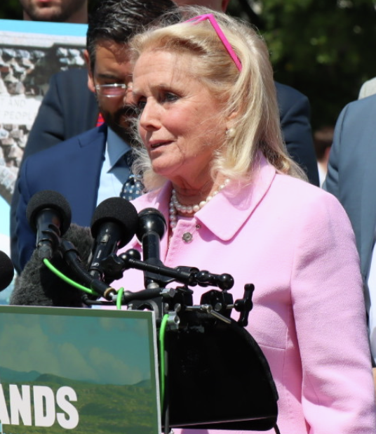 Congresswoman Debbie Dingell says "you are not alone when your voices are heard" with Jamie Selzler