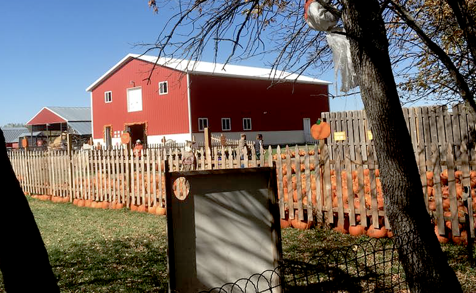 Lil' Bitz Pumpkin Patch is so much fun