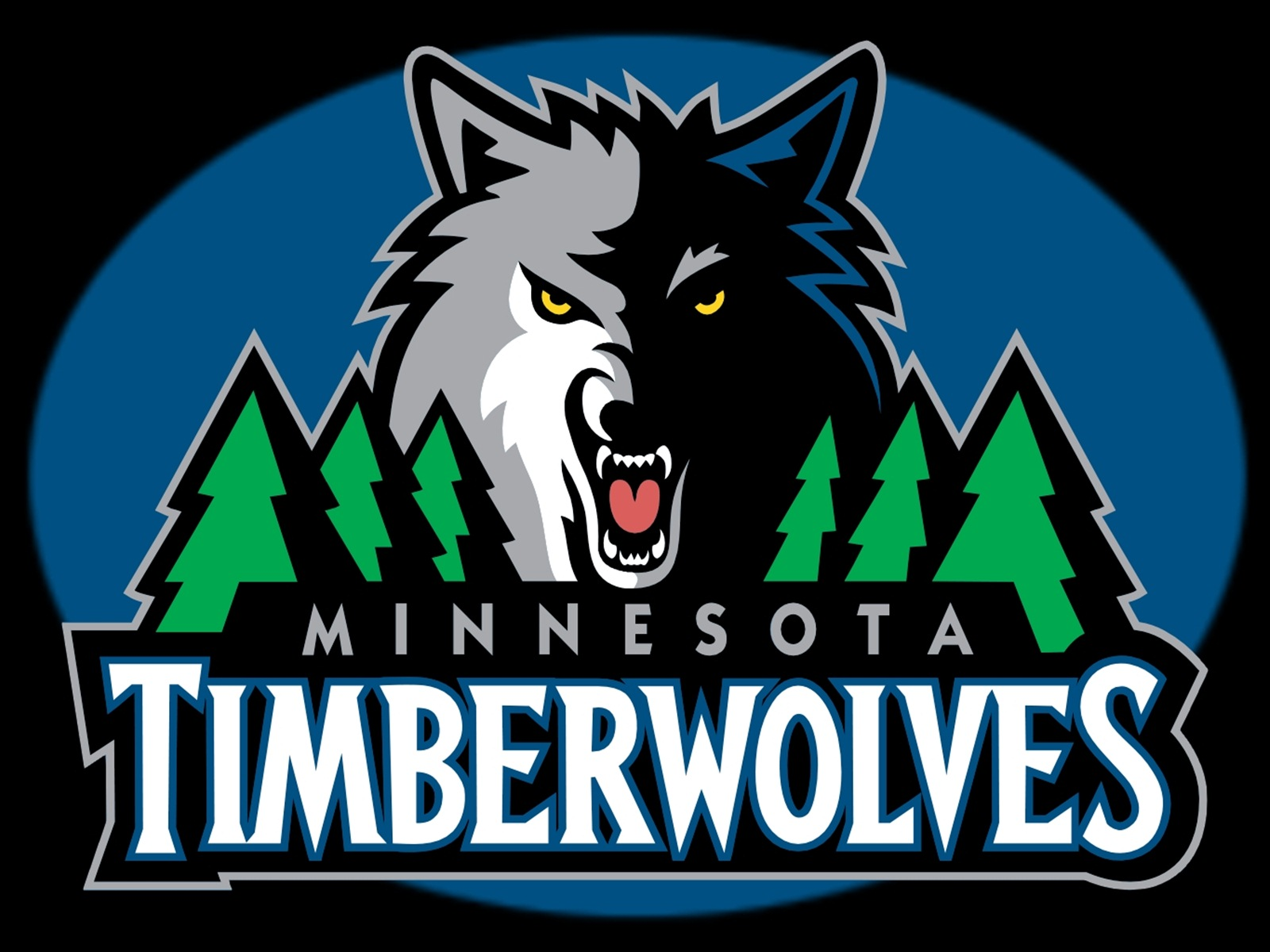 Timberwolves up 2-0 over Suns