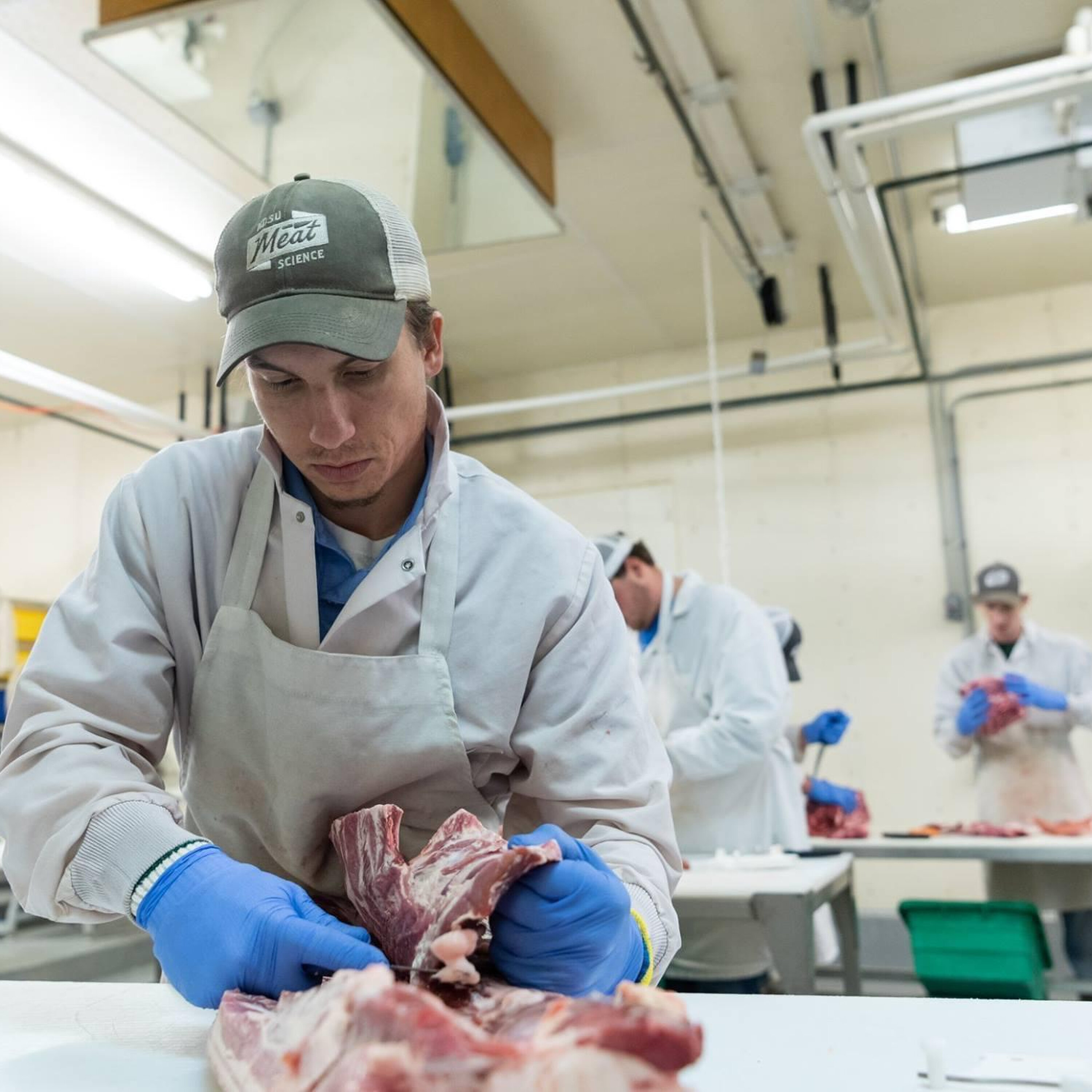 I've Got a Mustache Now I've Got a Mustache Now