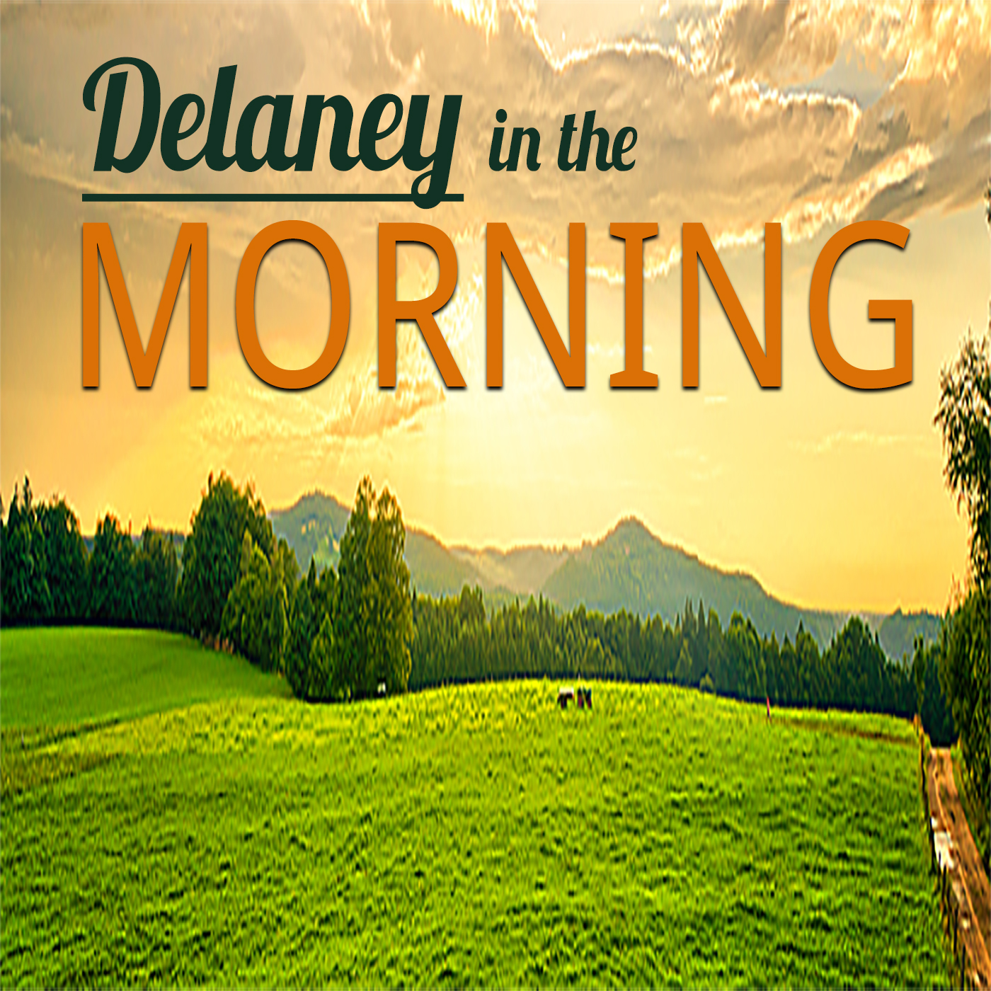 6-3-2015 Gary Dancer-Lakeland Elementary Update