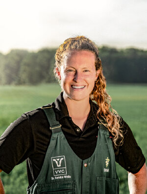 Calf Care Connection Oct. 25-27: Roll Up Your Sleeves For Calf Diagnostics