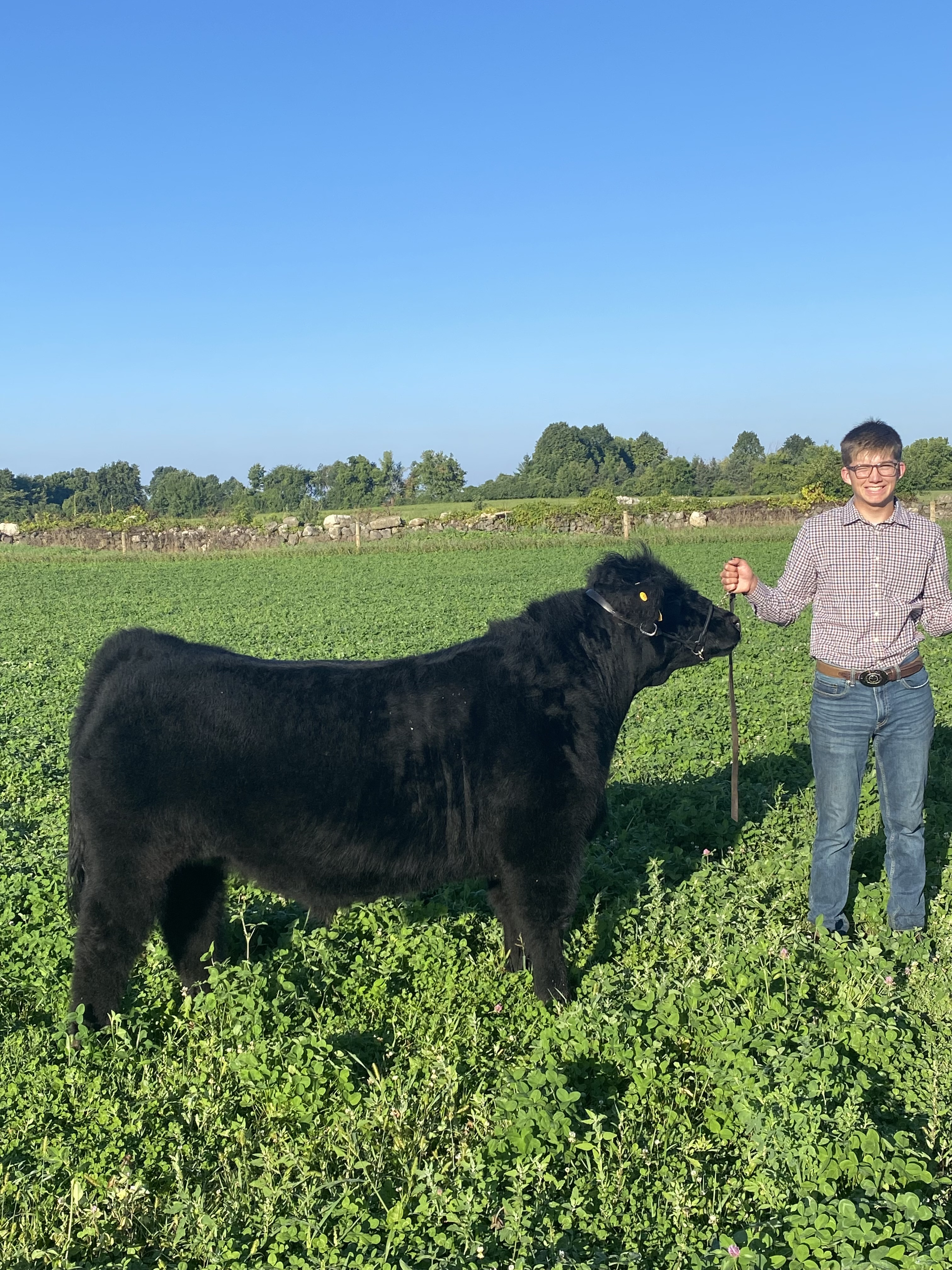 Report: Chilton fair exhibitor shares show prep