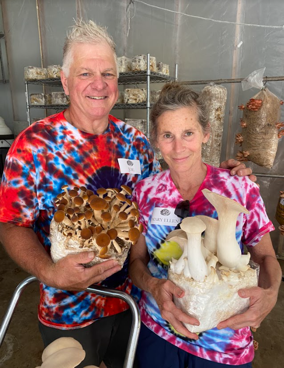 Peshtigo mushroom operation have been growing spawn since 1983