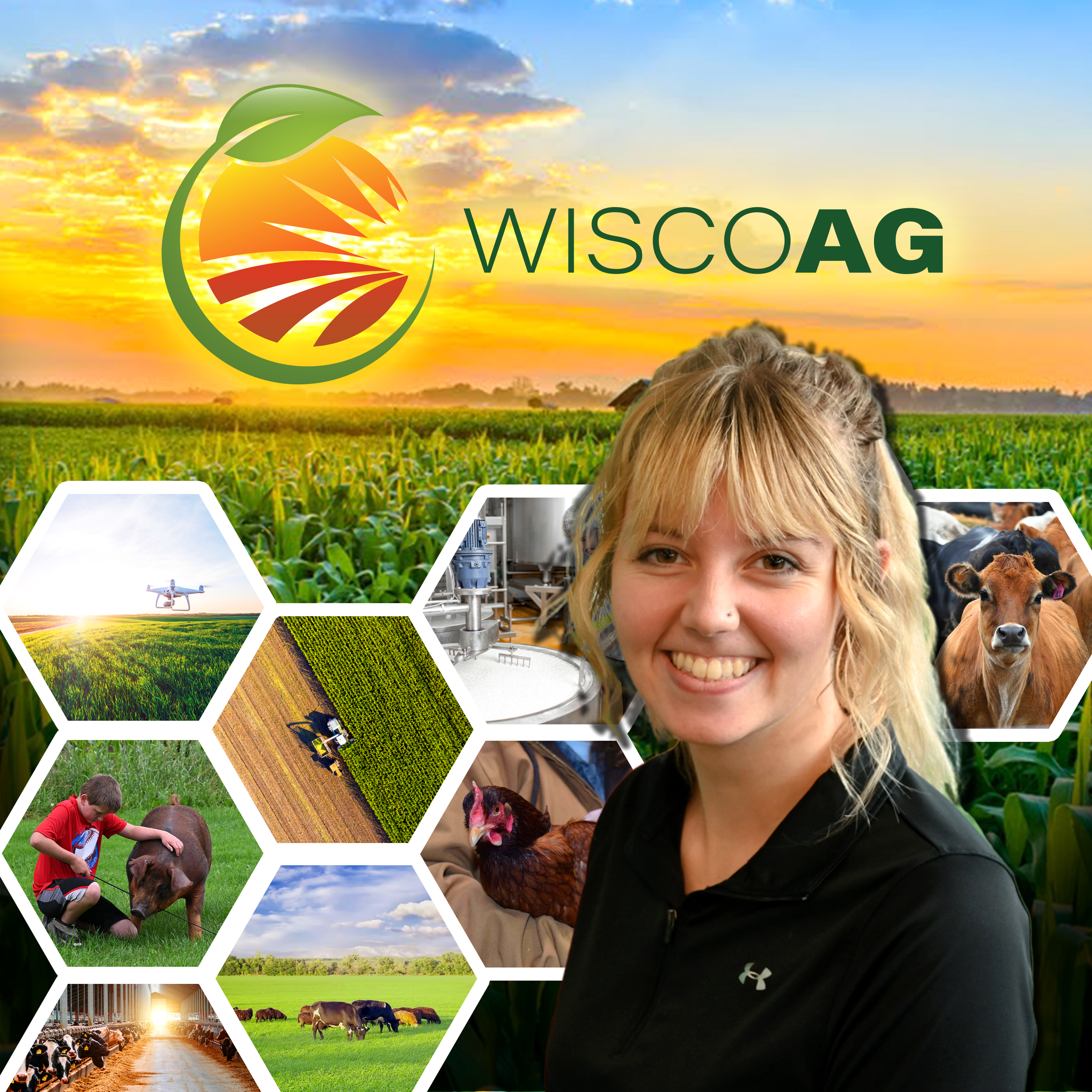 Report: Local Green Bay business offers compost services 