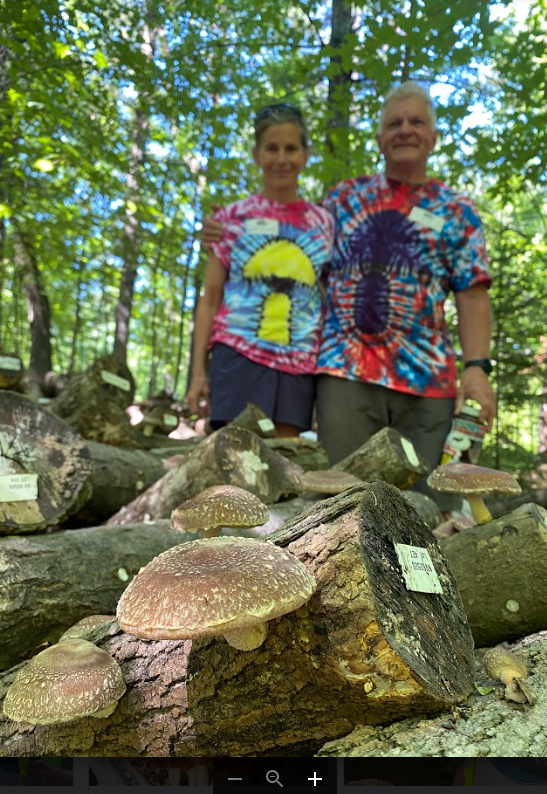 How to prepare a wooded area for growing mushrooms
