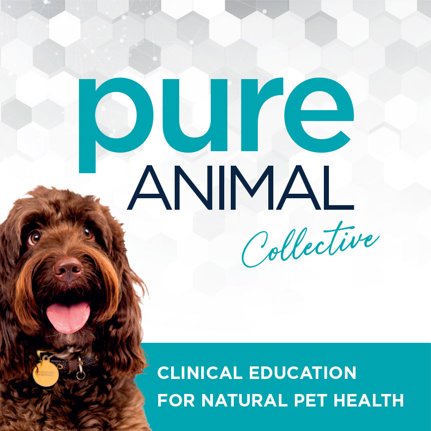Dr Donna McSweeney on the benefits of PEA for pets