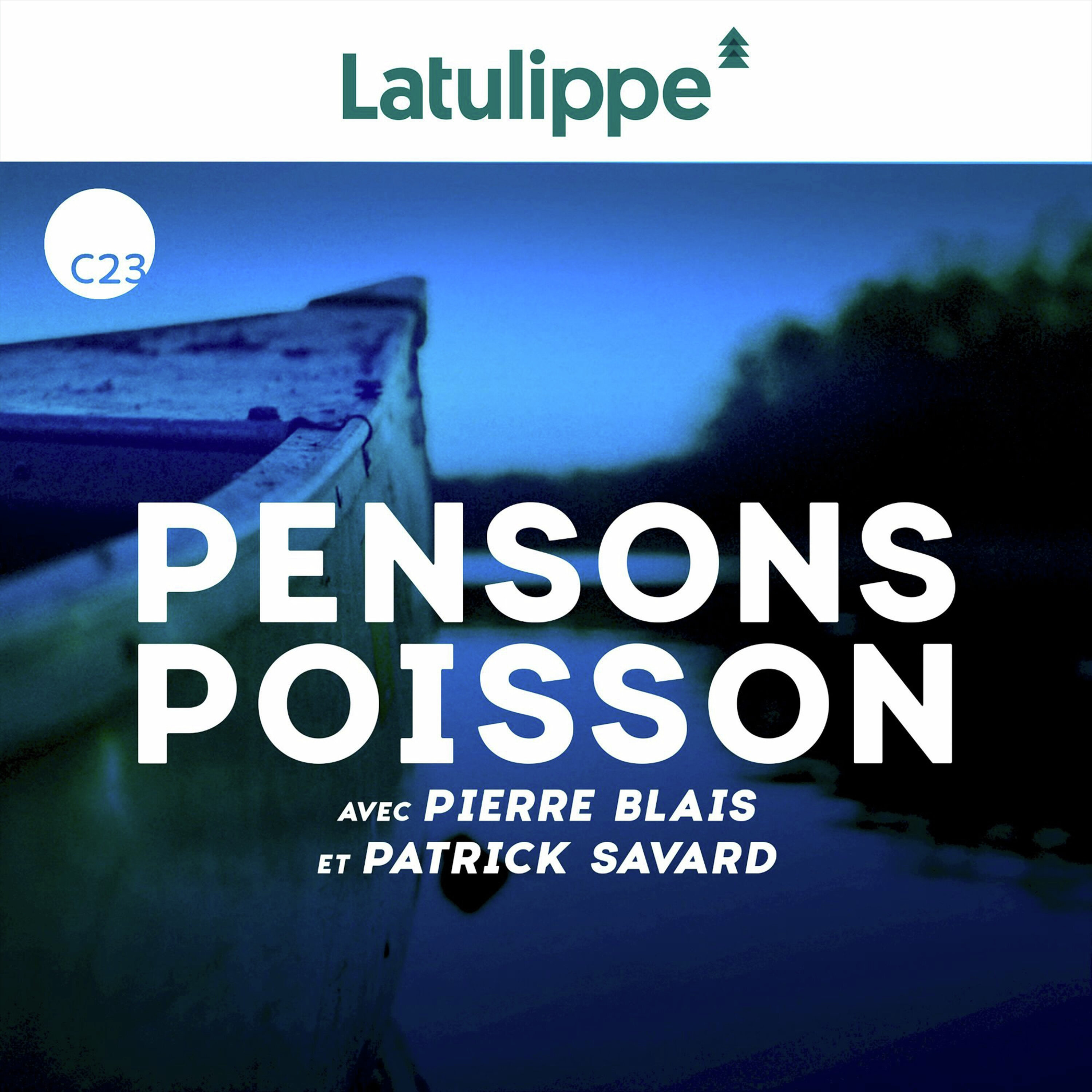 Des poissons qui se ressemblent