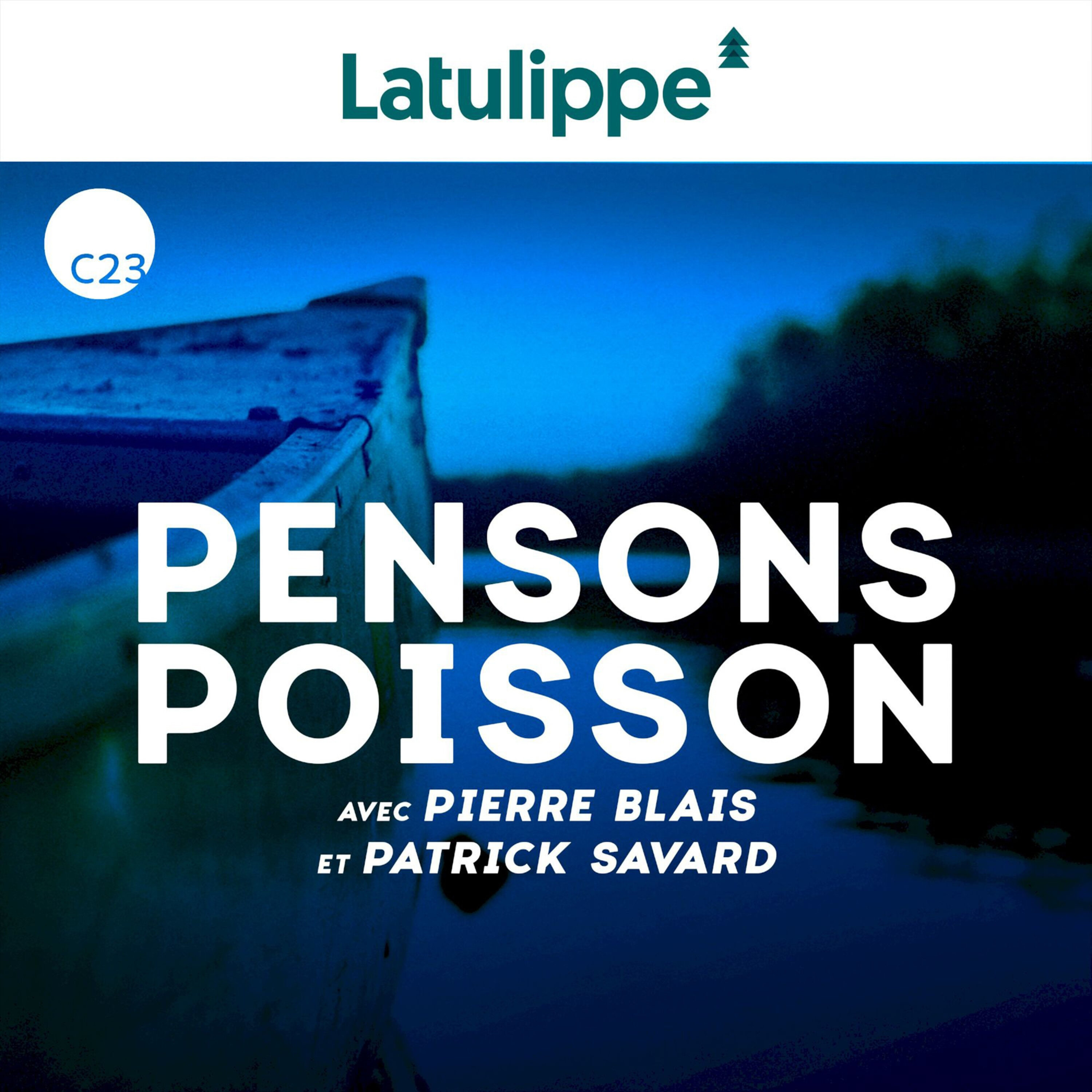 Quels sont les trucs et astuces quand on veut pêcher en profondeur?