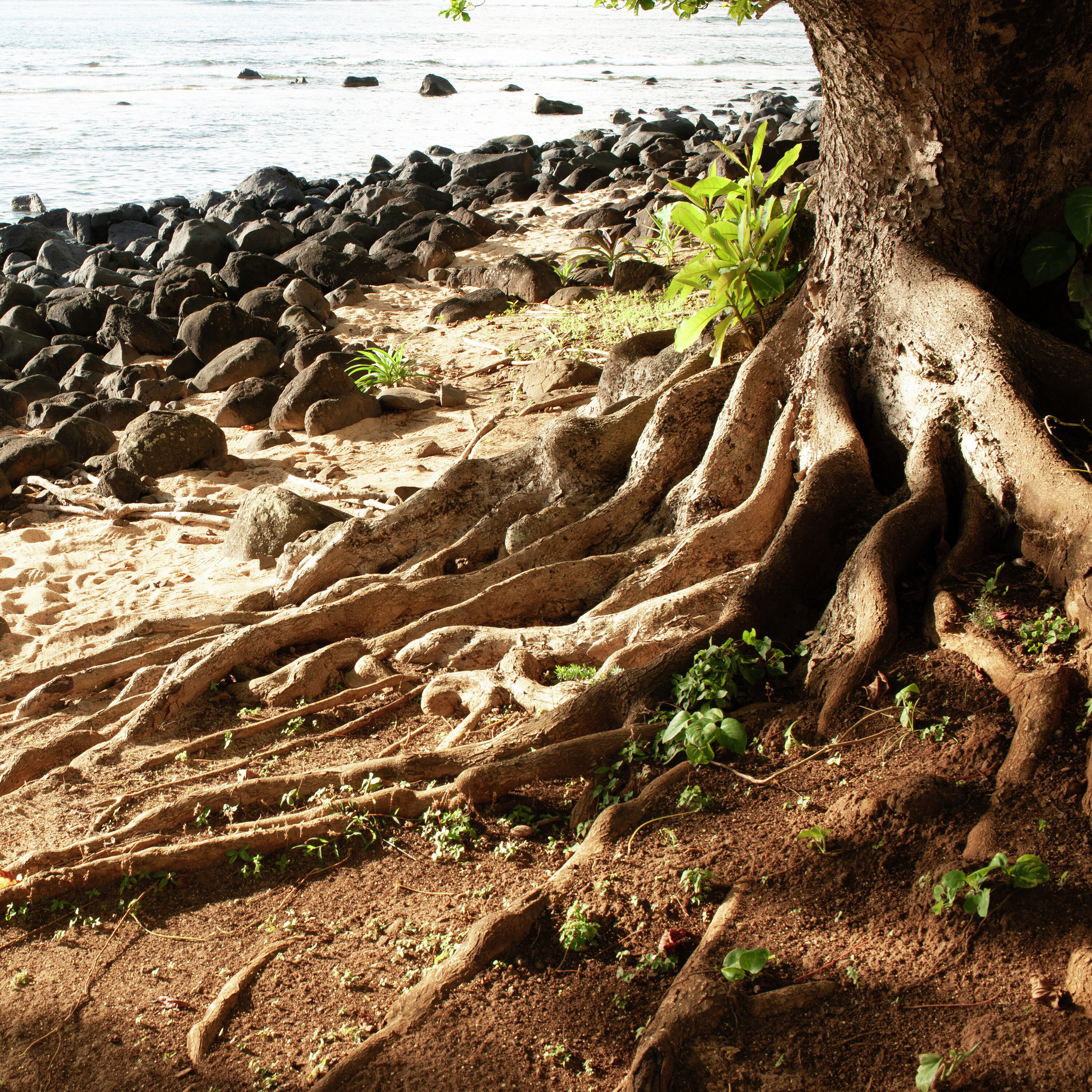 Cuando las personas se fallan mutuamente podcast