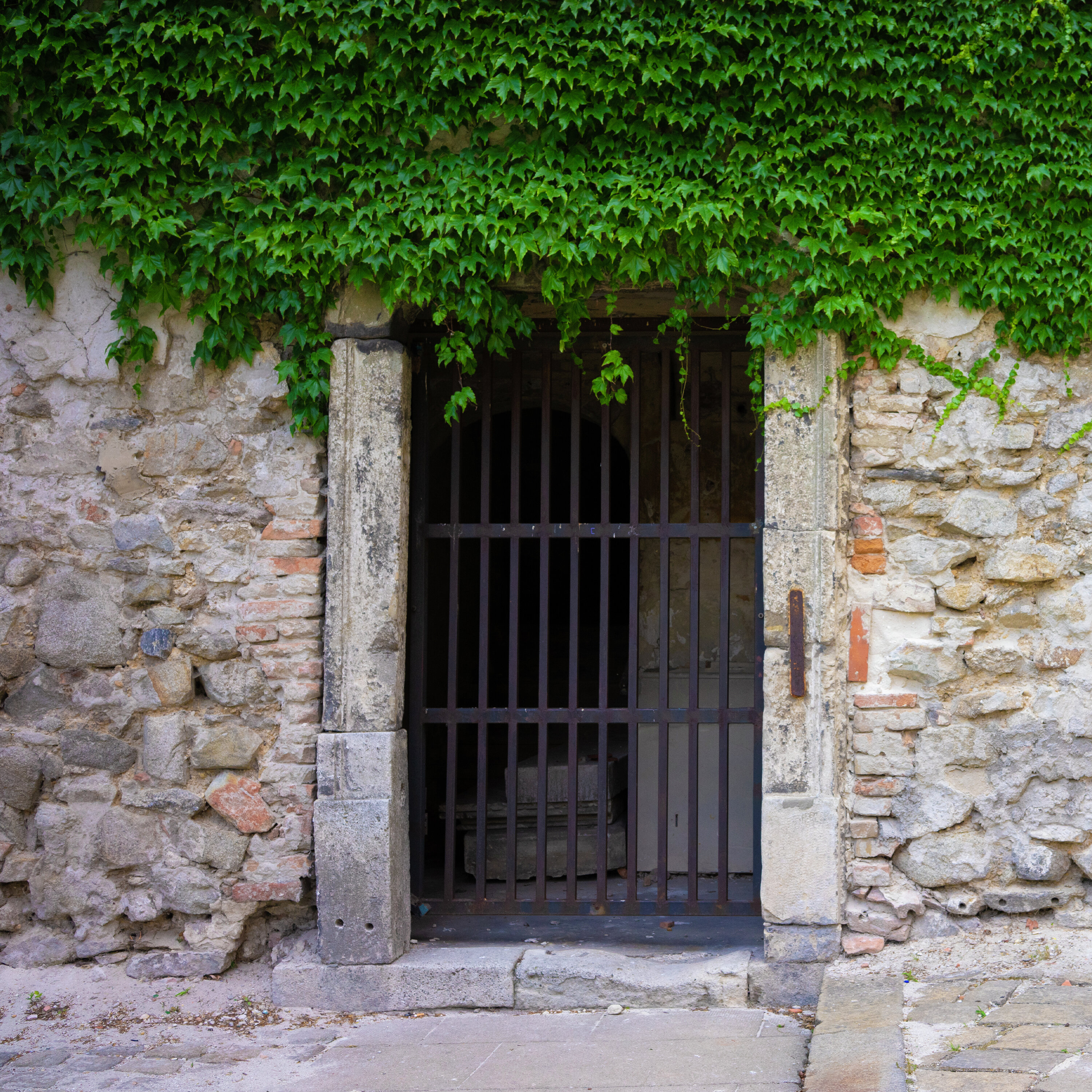 La fuente de la paz podcast