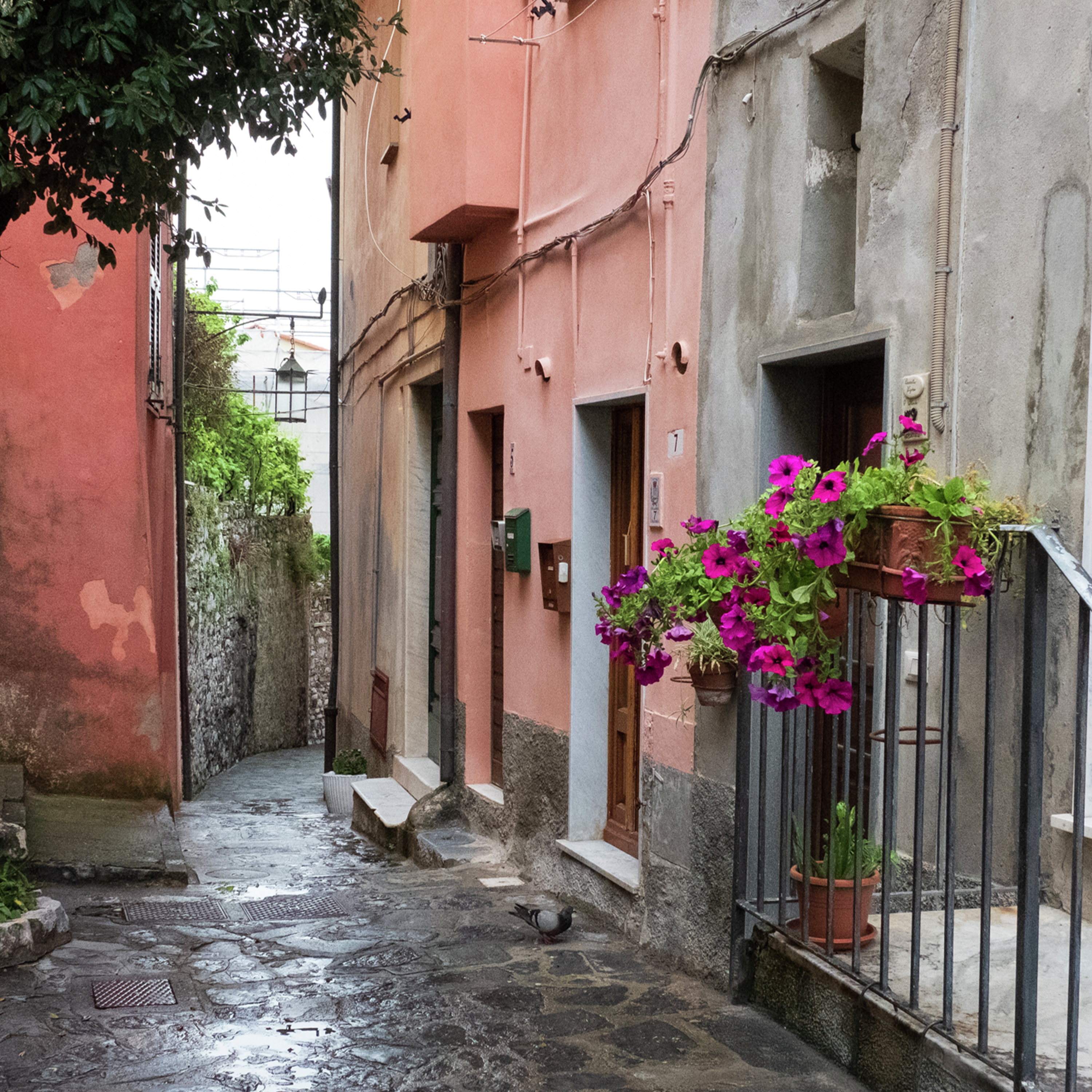 El banquete de la Palabra de Dios