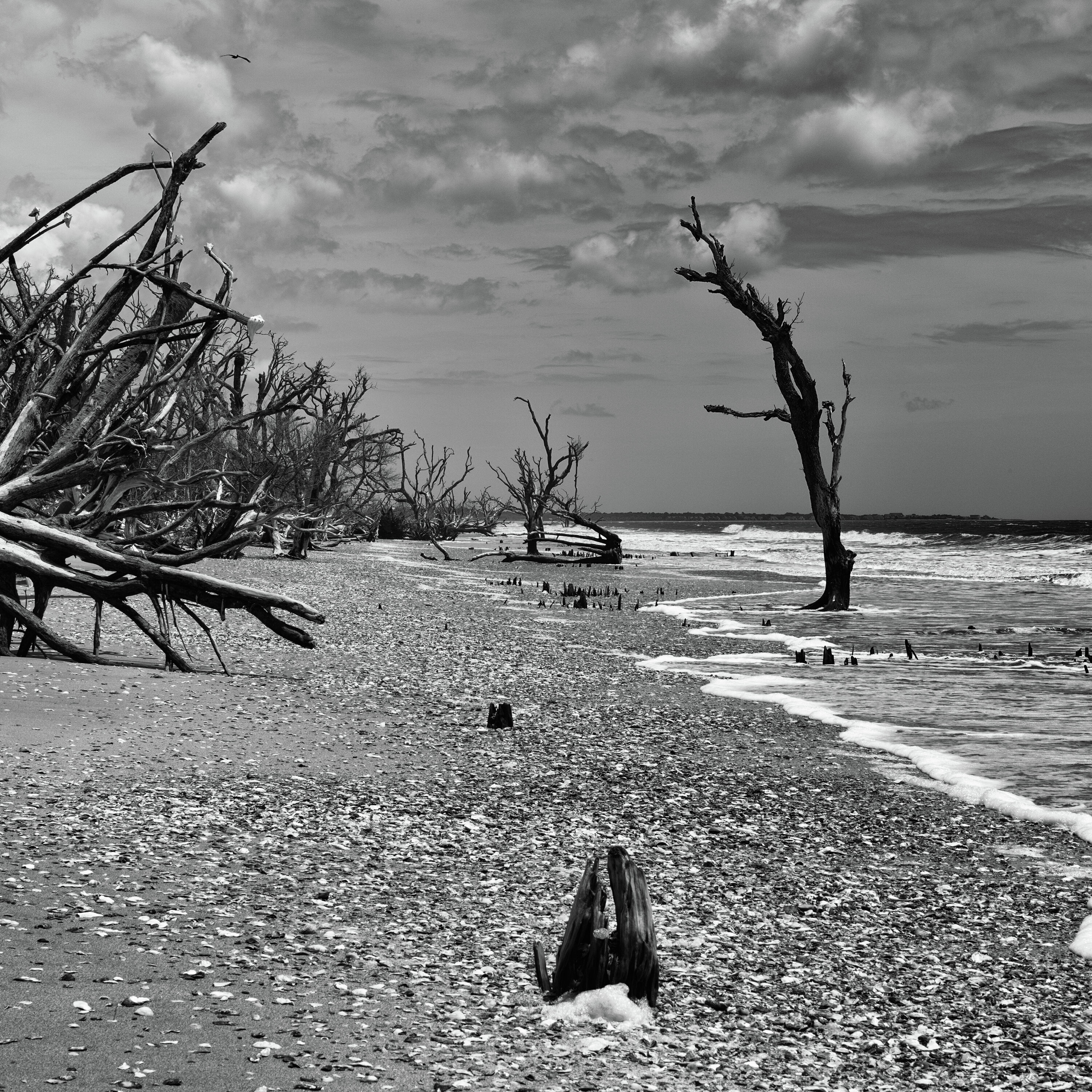 El modelo para el servicio podcast