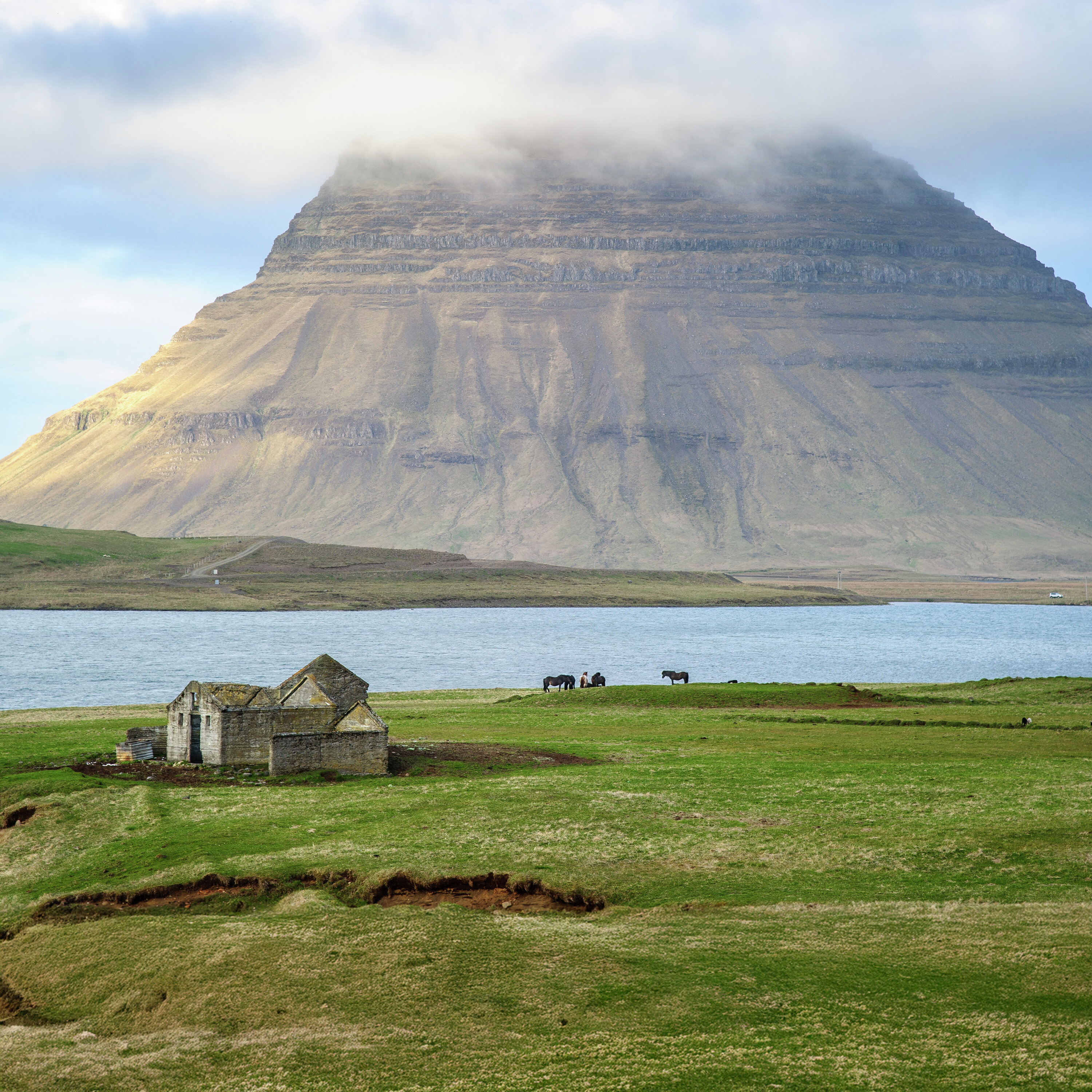 El disfrute de la vida podcast