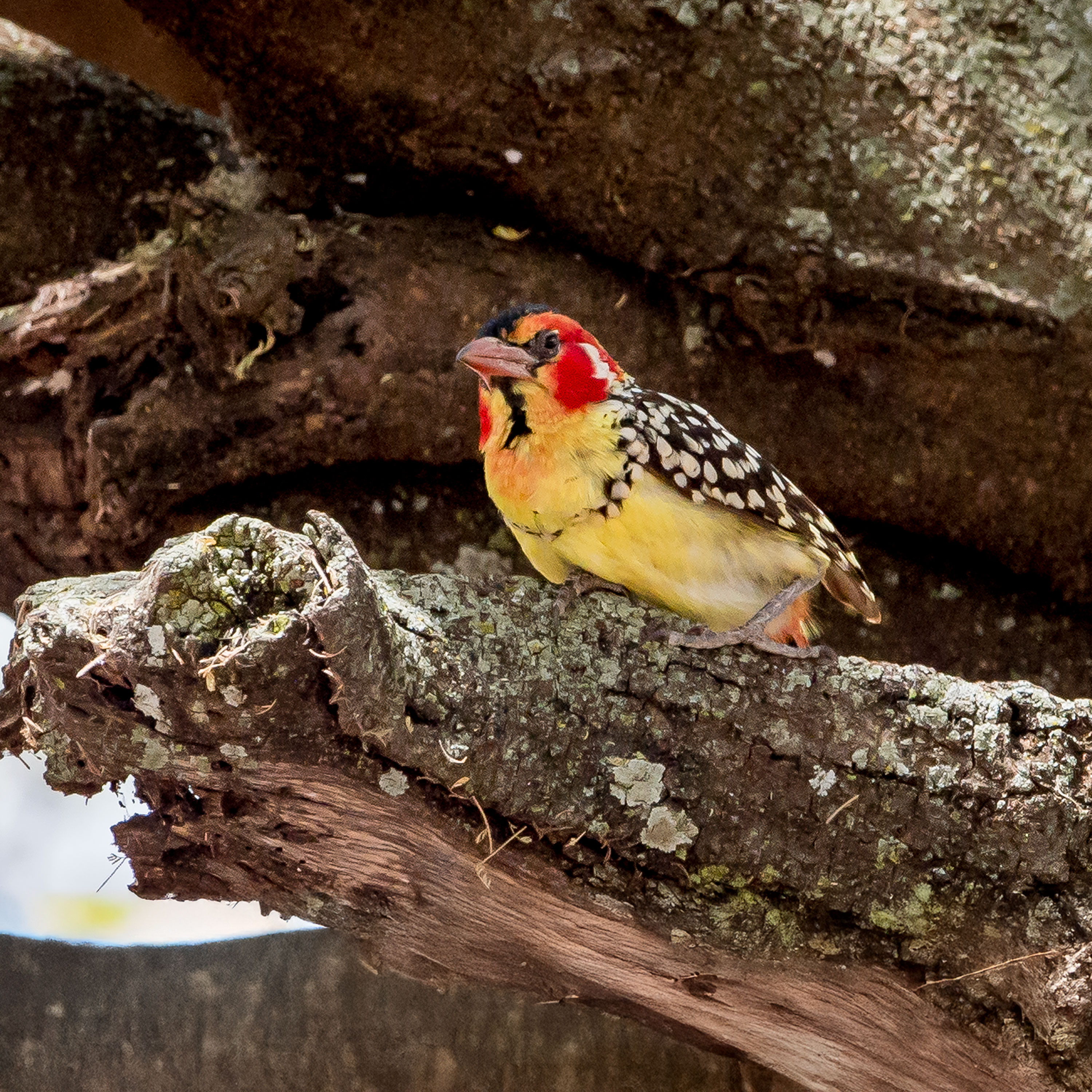 Edificación para recompensas eternas