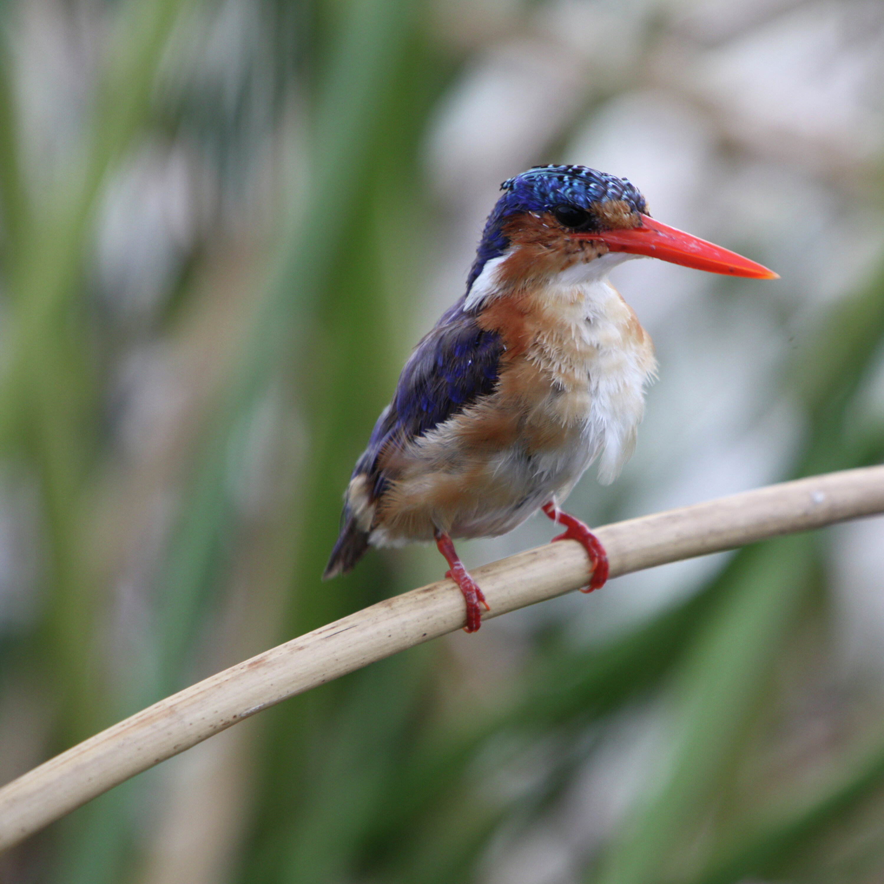 Evitar la hipocresía en la oración podcast