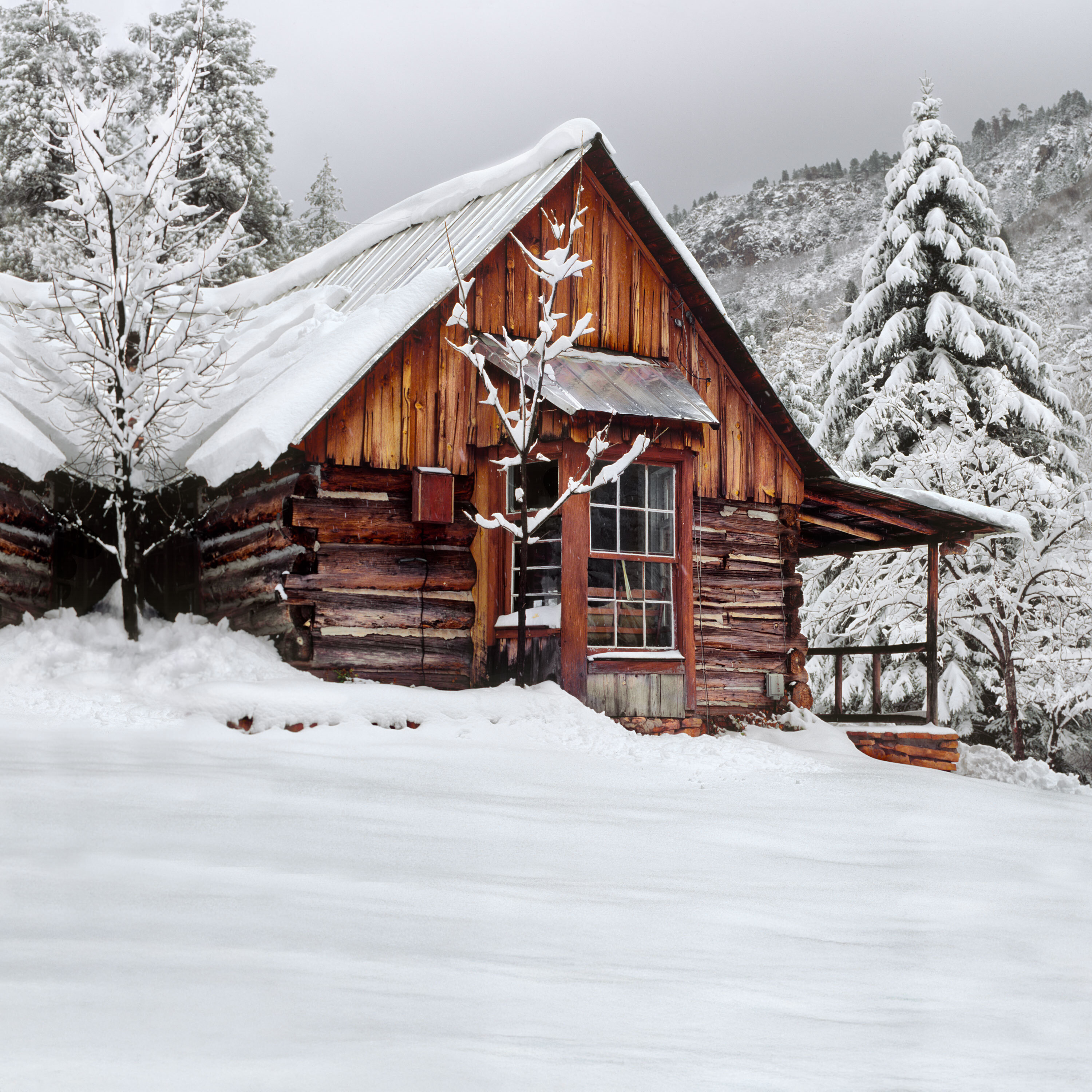 In Touch Ministries Daily Devotions - Our Best Friend Is Jesus