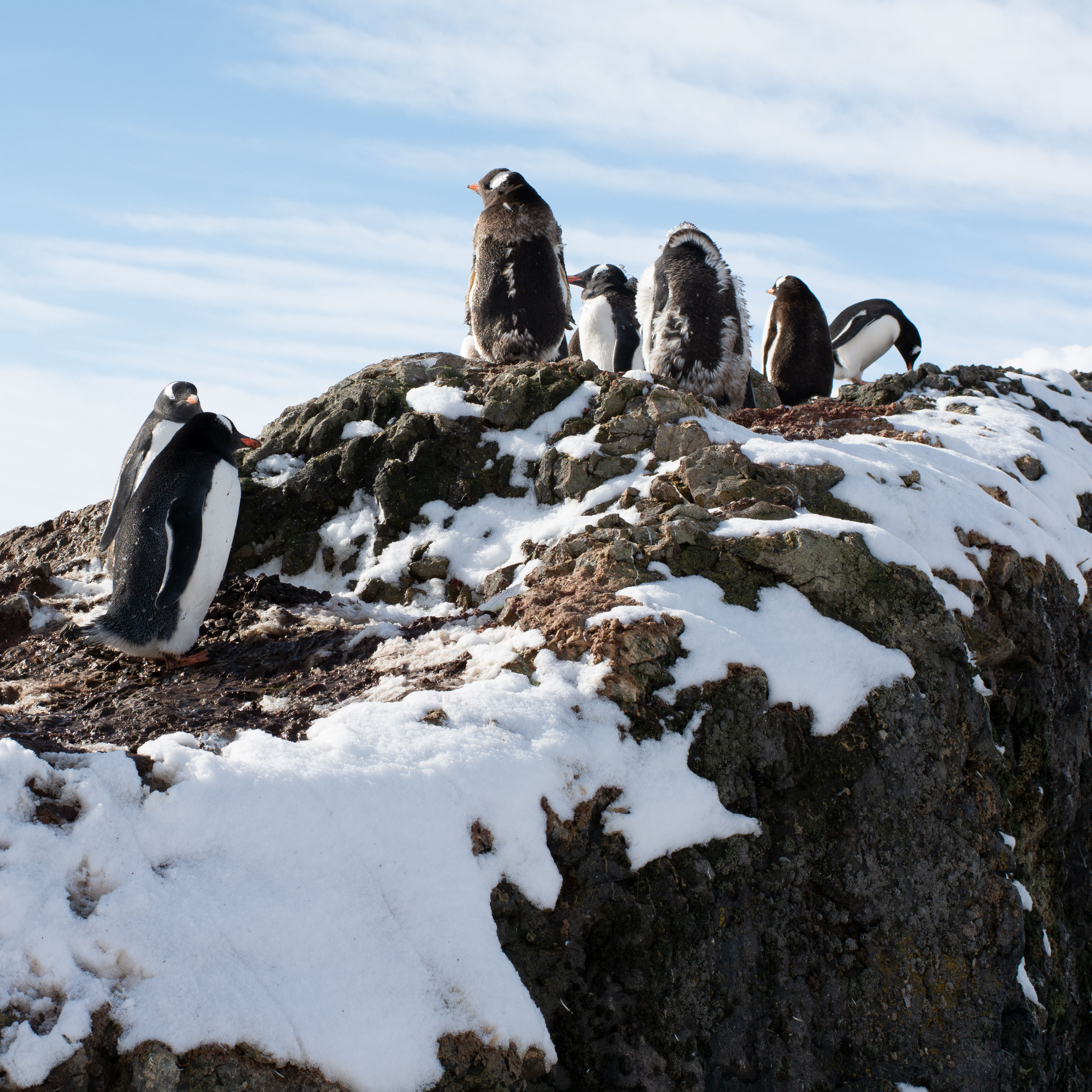 God's Provision in Life's Storms