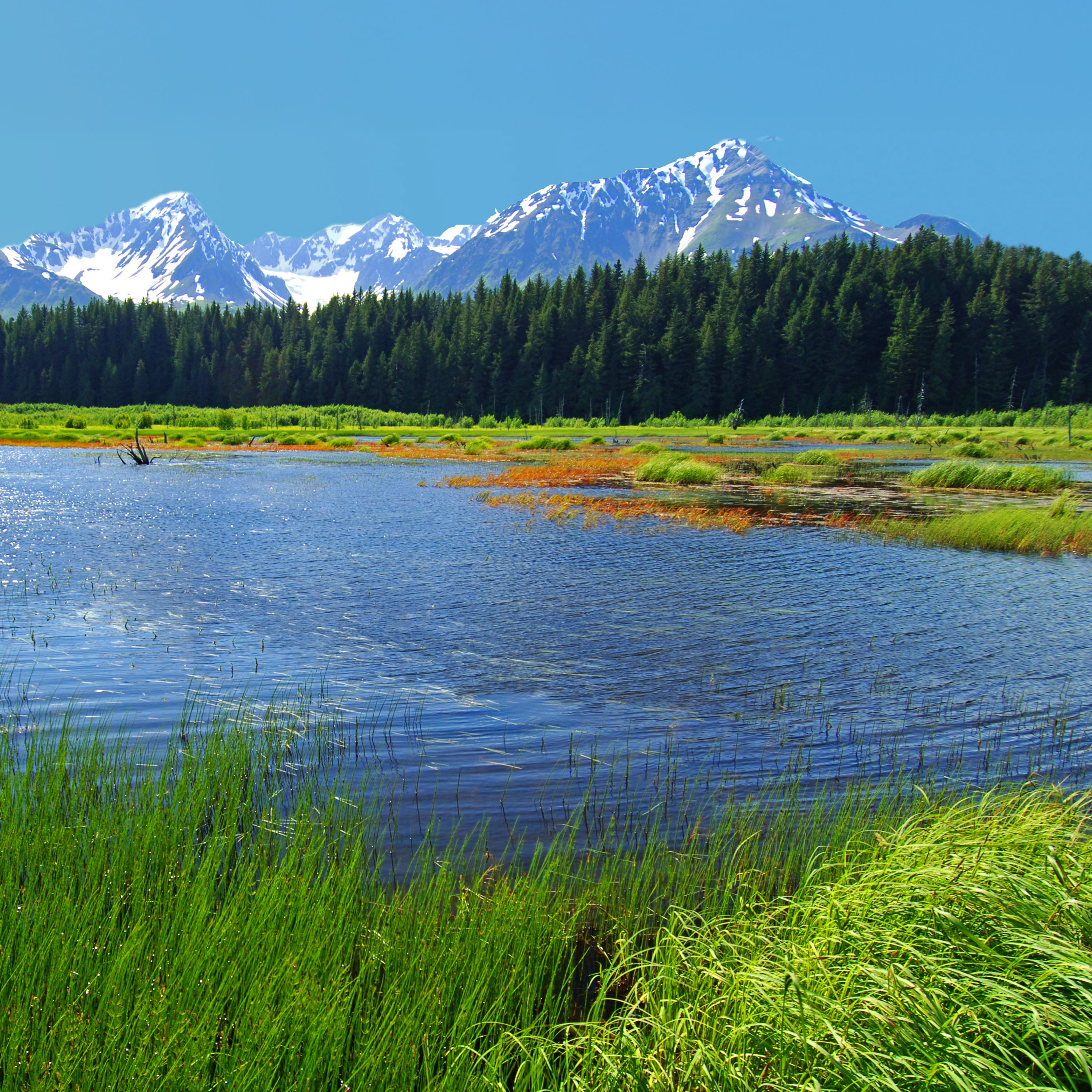 A Lifetime of Second Chances