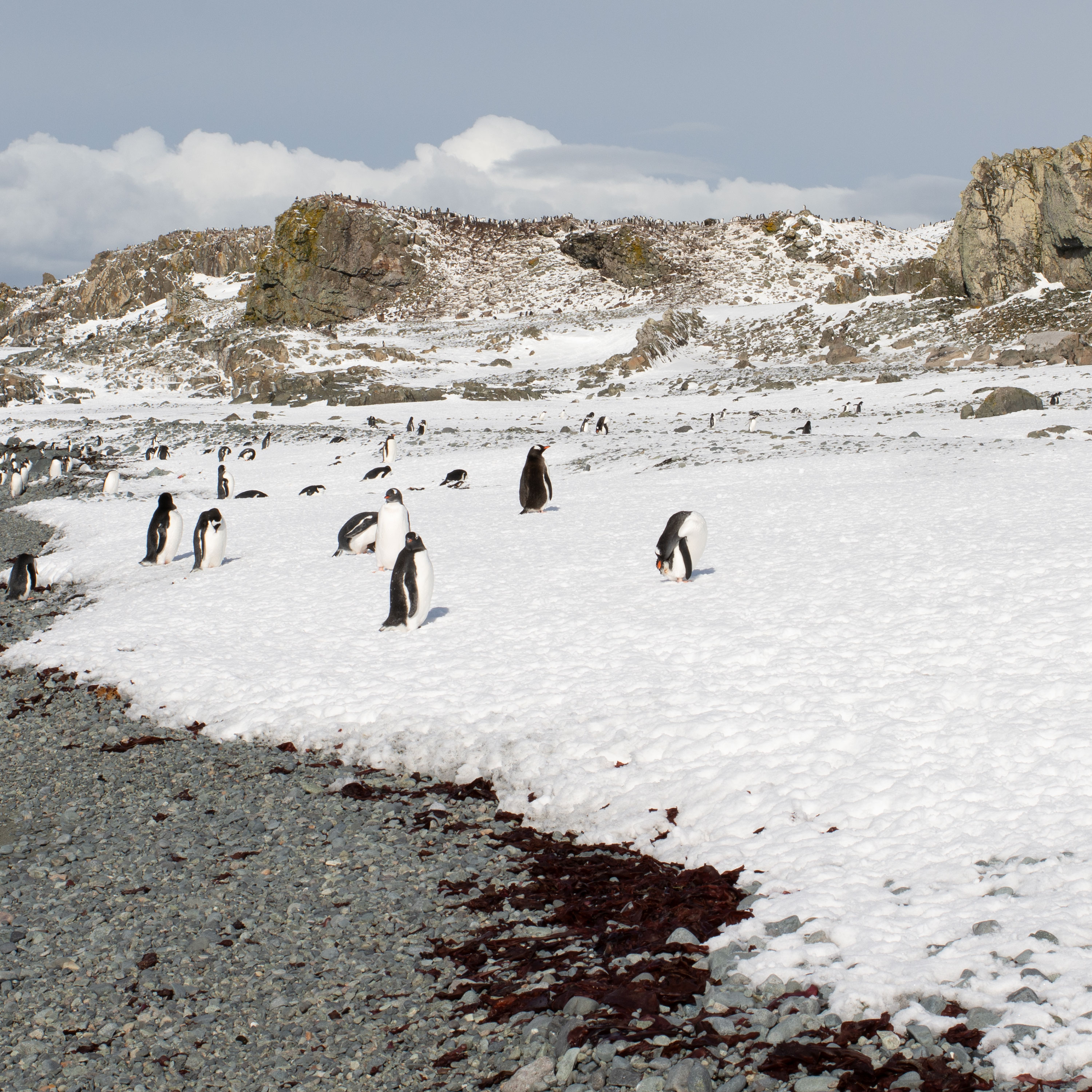 When God Doesn't Heal